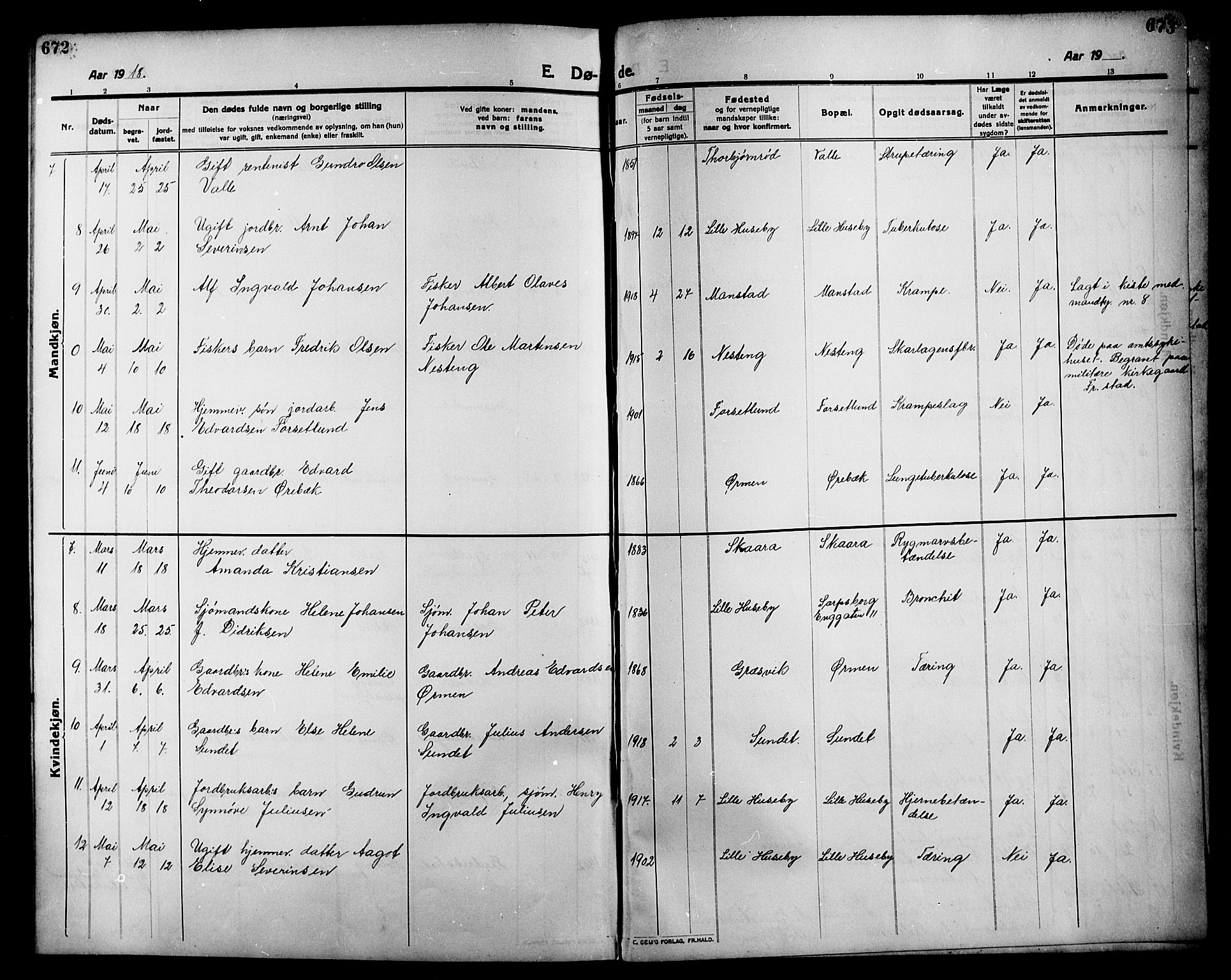 Onsøy prestekontor Kirkebøker, AV/SAO-A-10914/G/Ga/L0003: Parish register (copy) no. I 3, 1910-1926, p. 672-673