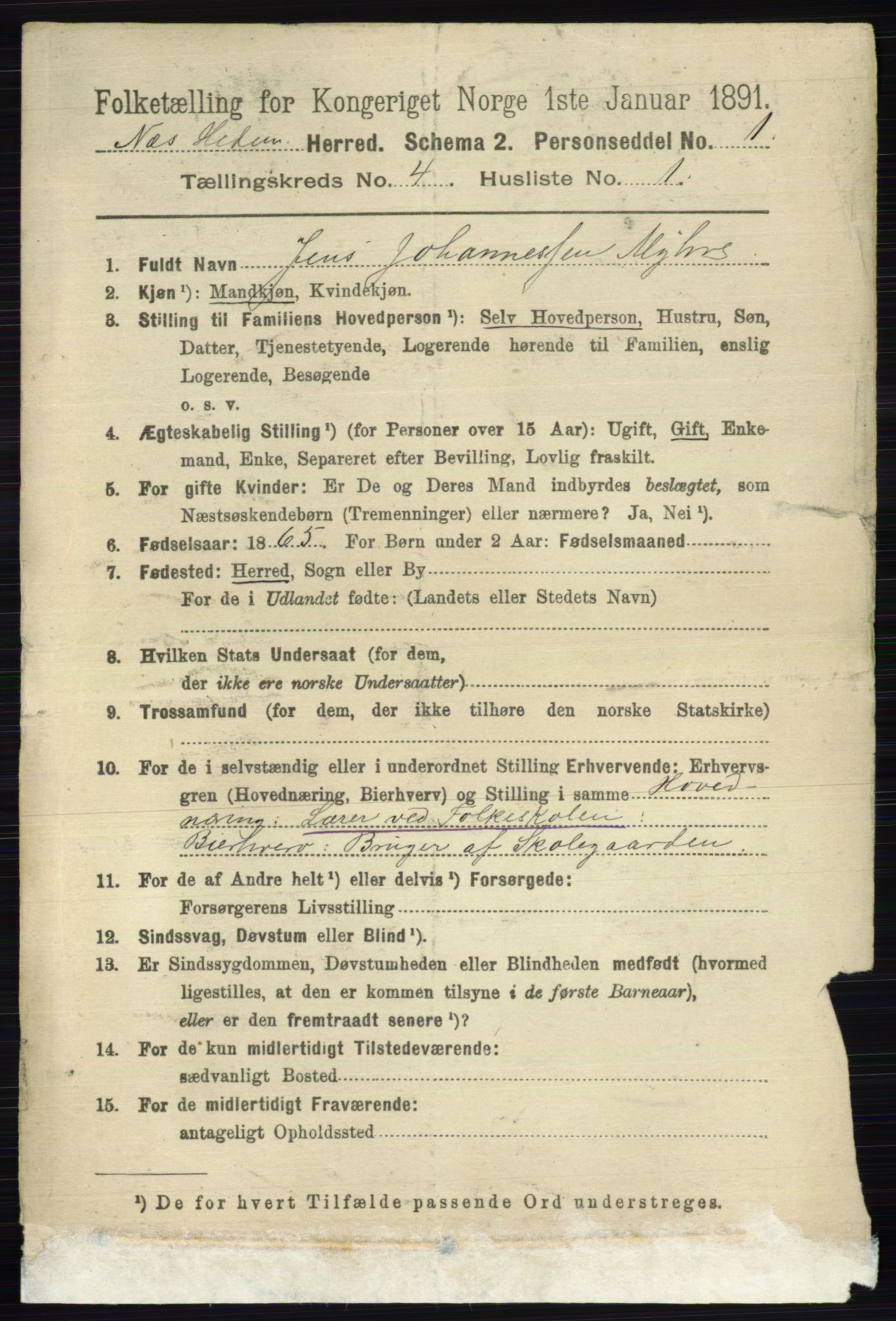 RA, 1891 census for 0411 Nes, 1891, p. 2044