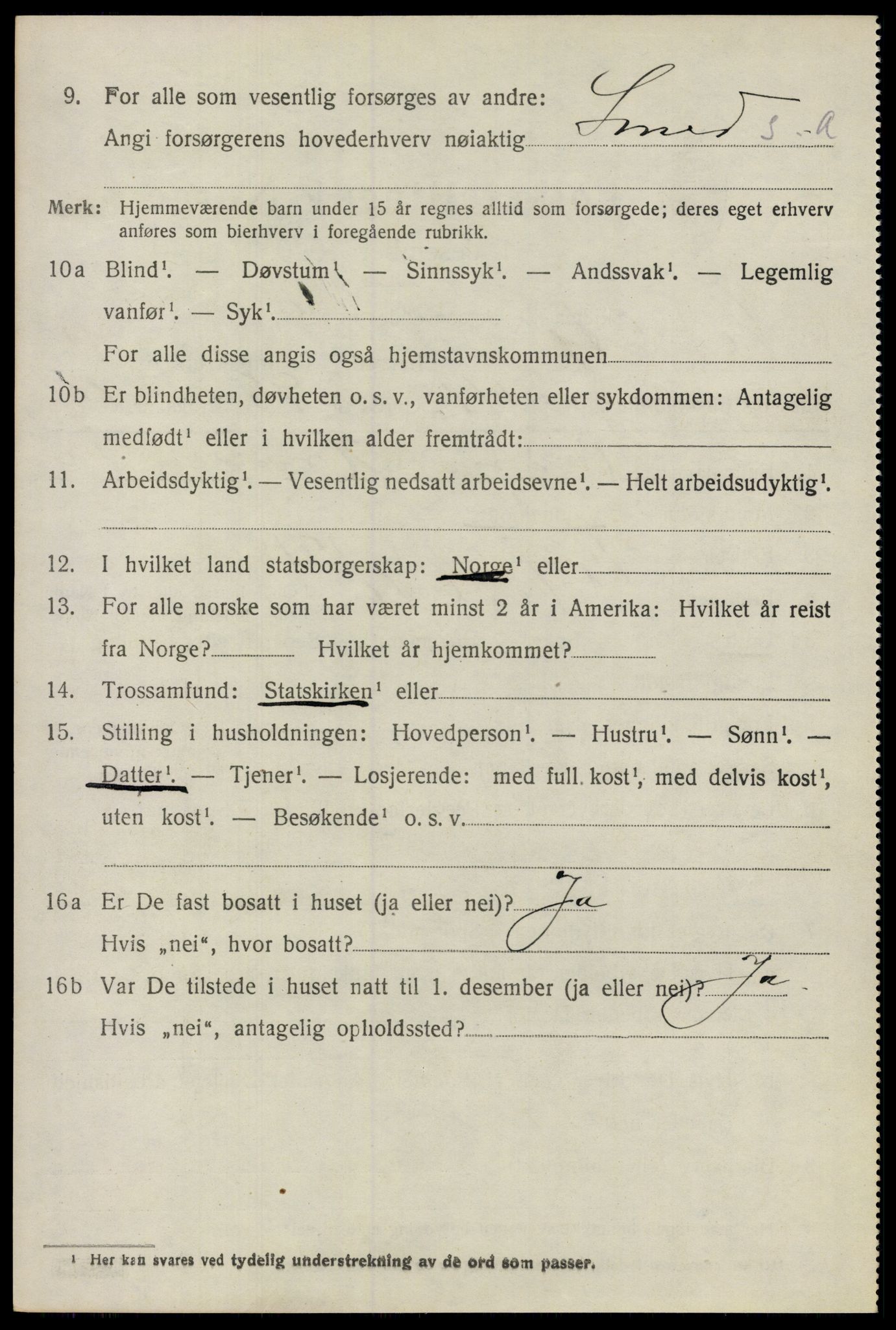 SAO, 1920 census for Nes, 1920, p. 11933