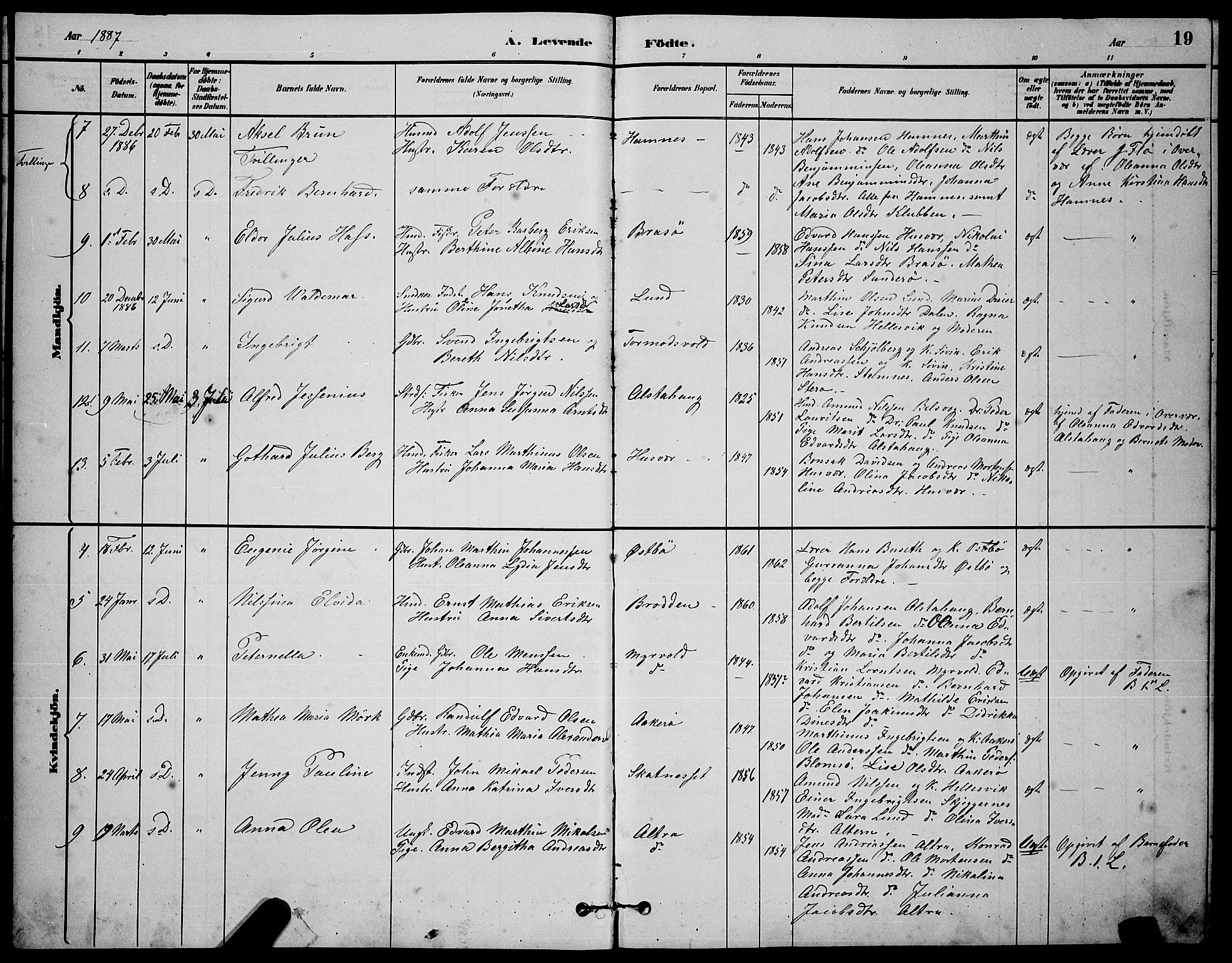 Ministerialprotokoller, klokkerbøker og fødselsregistre - Nordland, AV/SAT-A-1459/830/L0462: Parish register (copy) no. 830C04, 1882-1895, p. 19