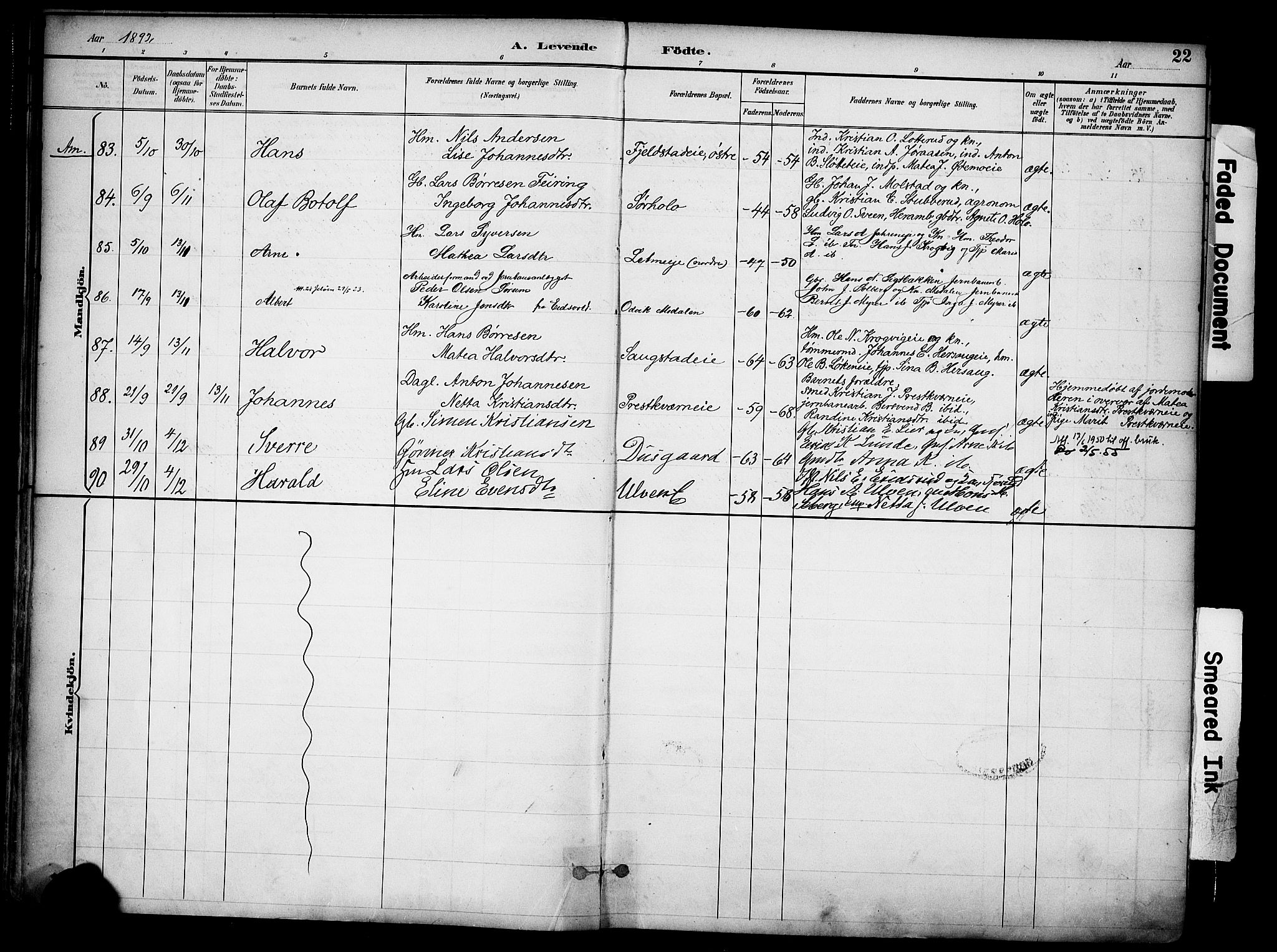 Ringsaker prestekontor, AV/SAH-PREST-014/K/Ka/L0017: Parish register (official) no. 17, 1891-1902, p. 22