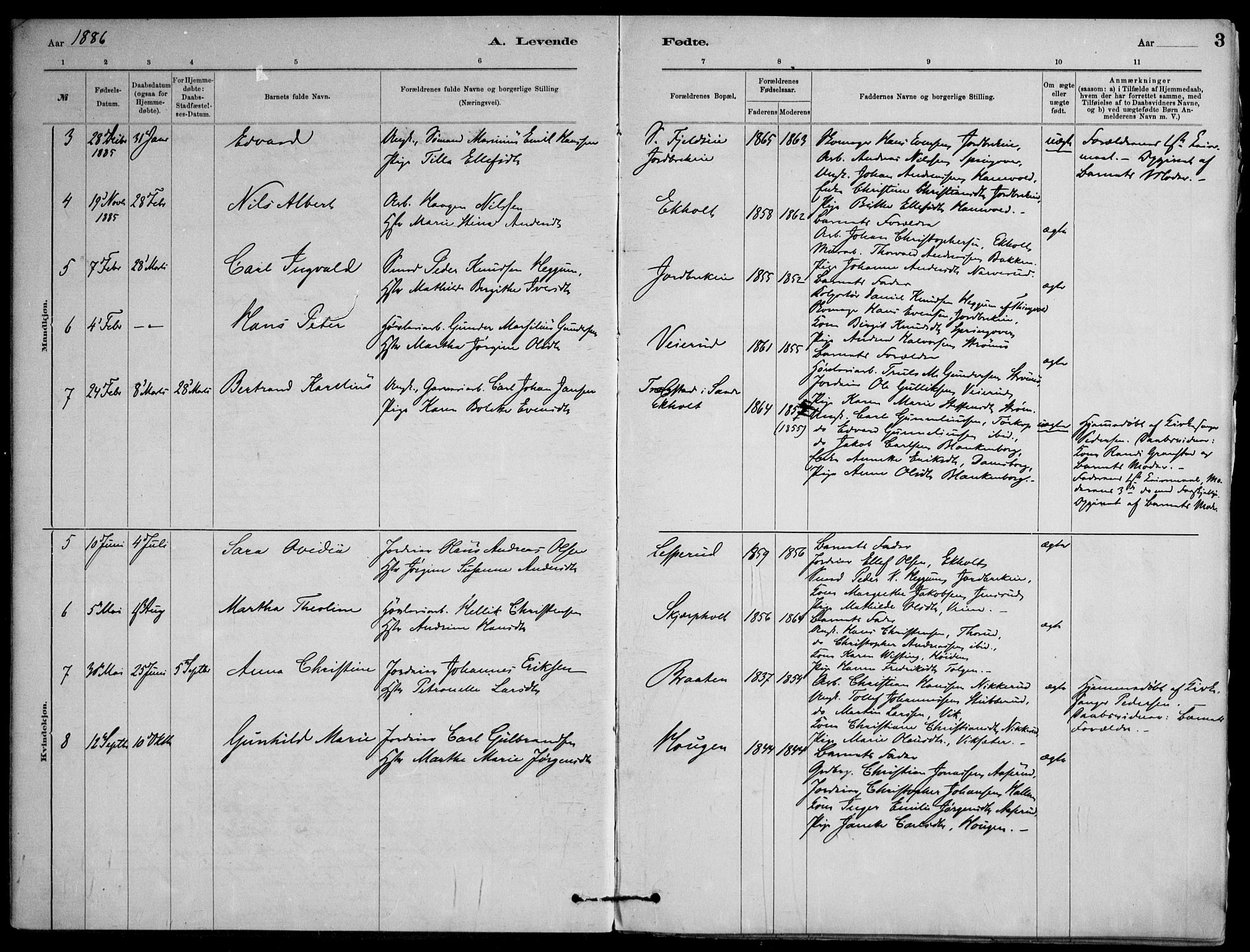 Skoger kirkebøker, AV/SAKO-A-59/F/Fb/L0001: Parish register (official) no. II 1, 1885-1913, p. 3