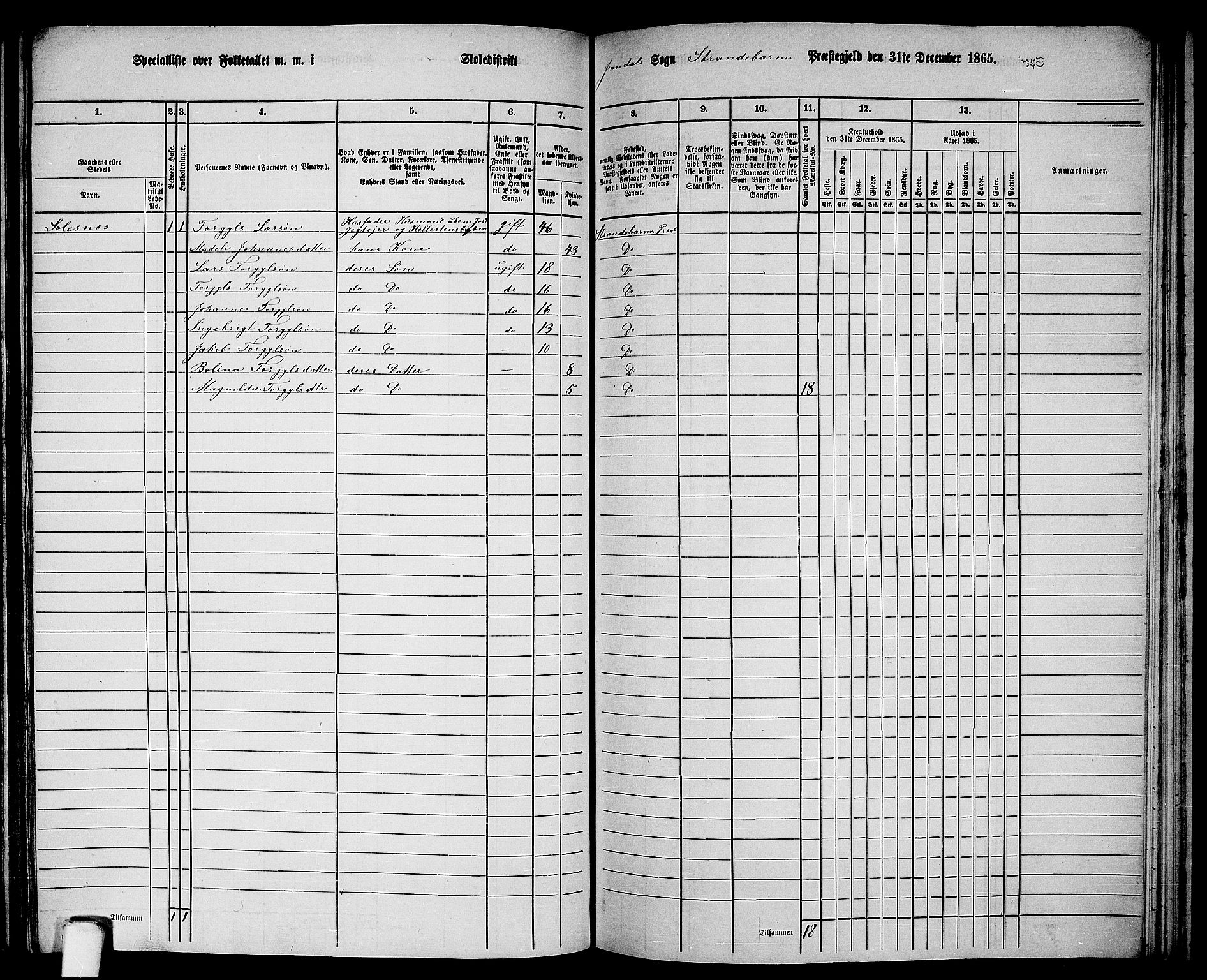 RA, 1865 census for Strandebarm, 1865, p. 163