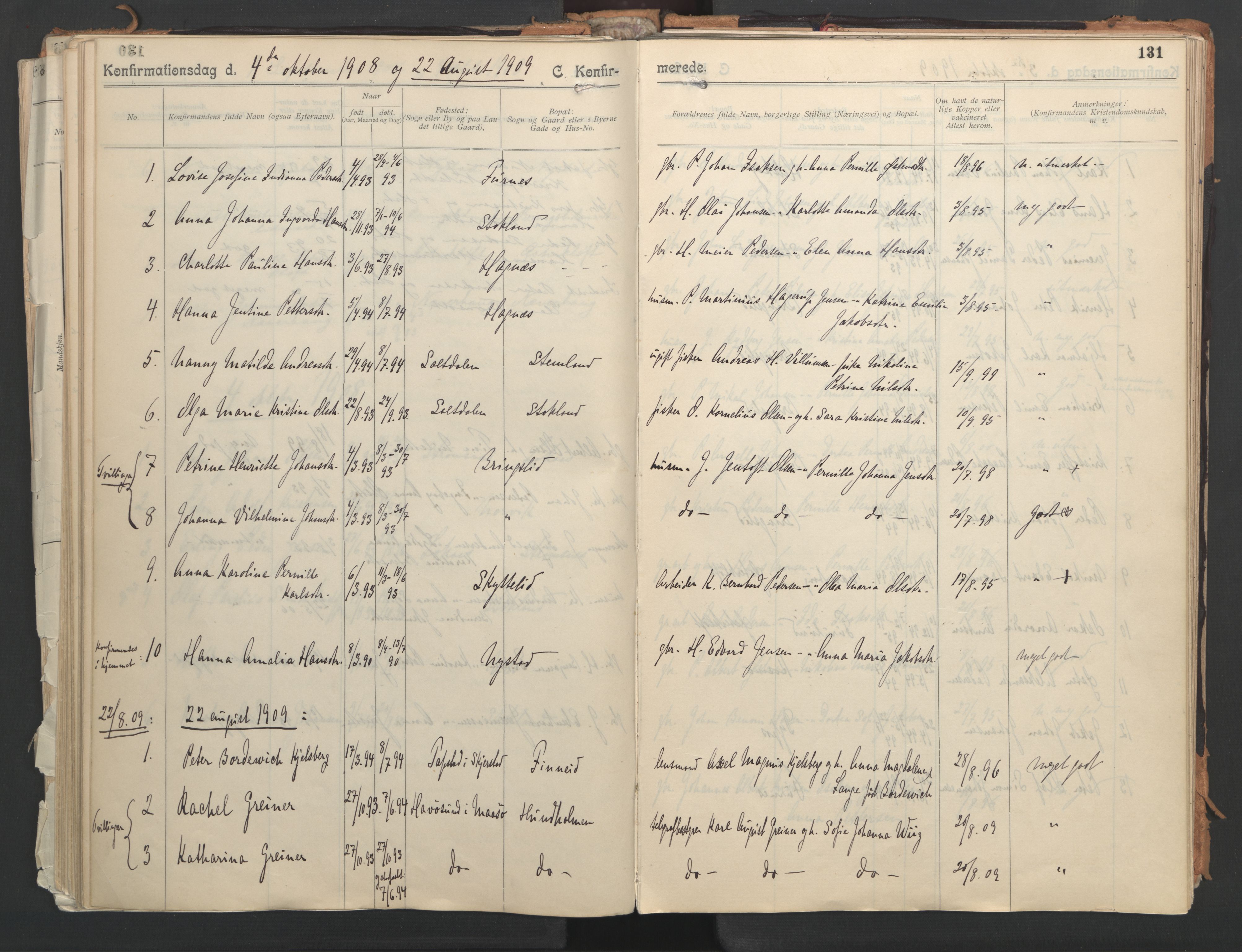 Ministerialprotokoller, klokkerbøker og fødselsregistre - Nordland, AV/SAT-A-1459/851/L0724: Parish register (official) no. 851A01, 1901-1922, p. 131