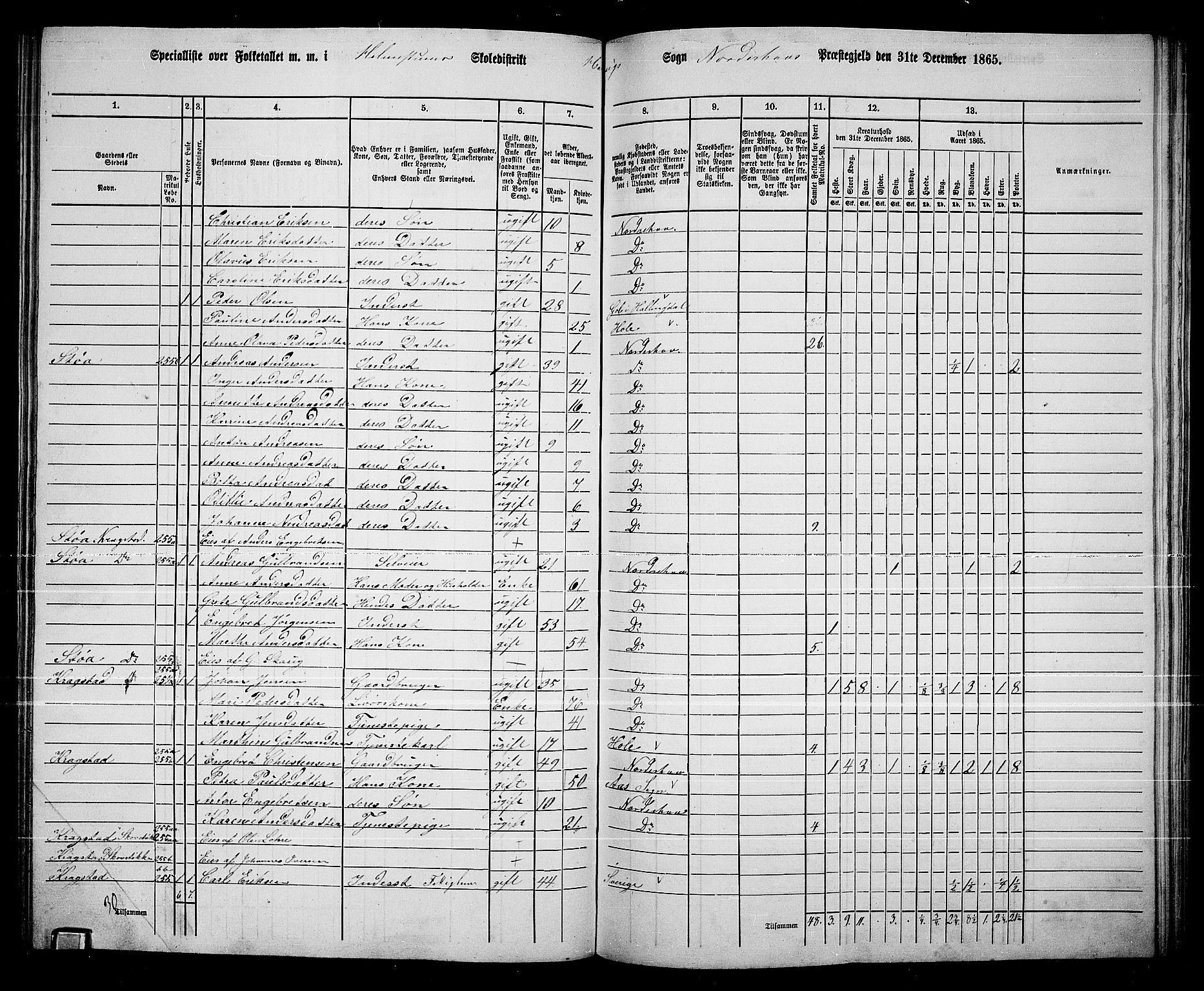 RA, 1865 census for Norderhov/Norderhov, Haug og Lunder, 1865, p. 212