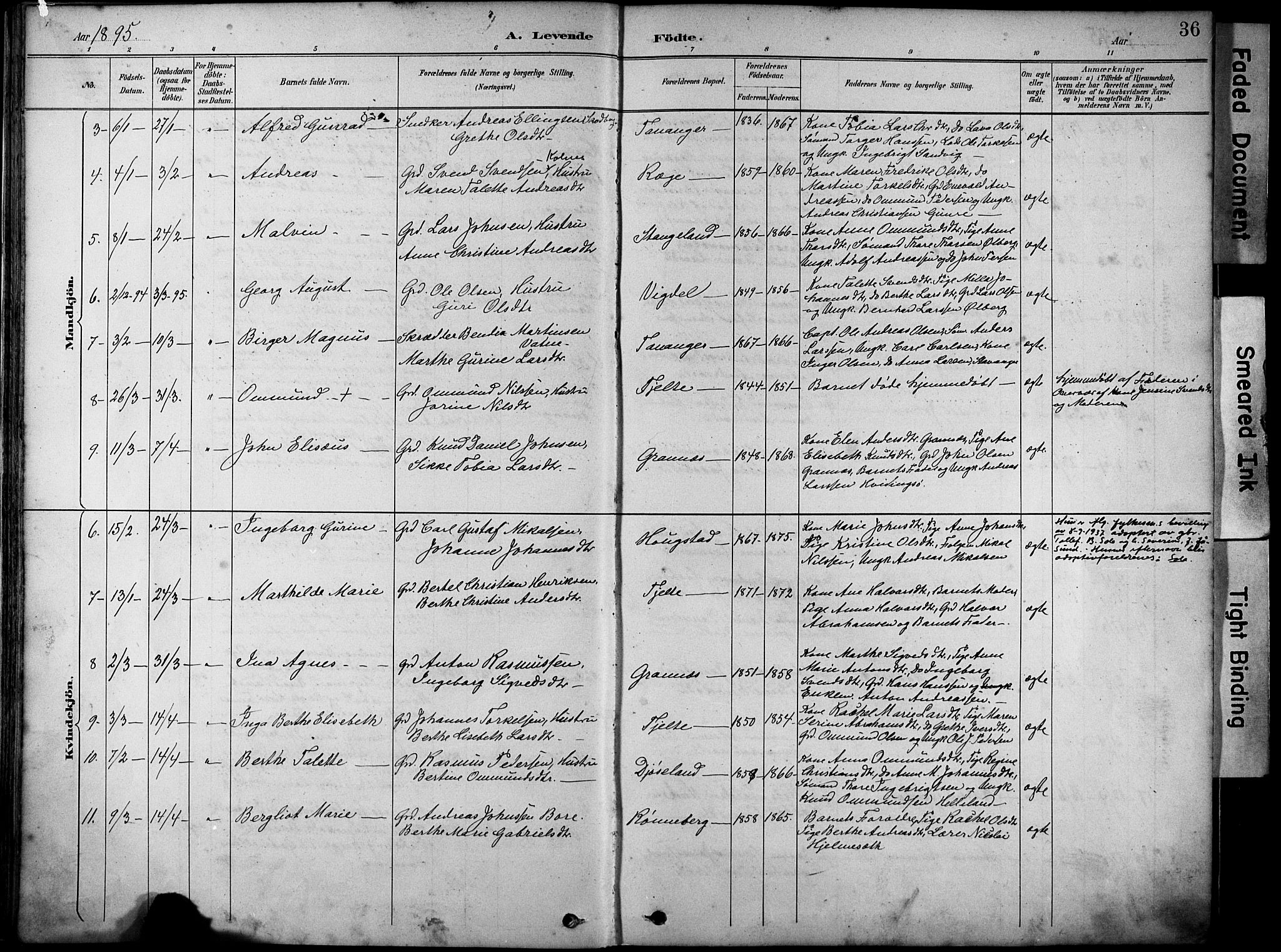 Håland sokneprestkontor, SAST/A-101802/001/30BA/L0012: Parish register (official) no. A 11, 1889-1900, p. 36