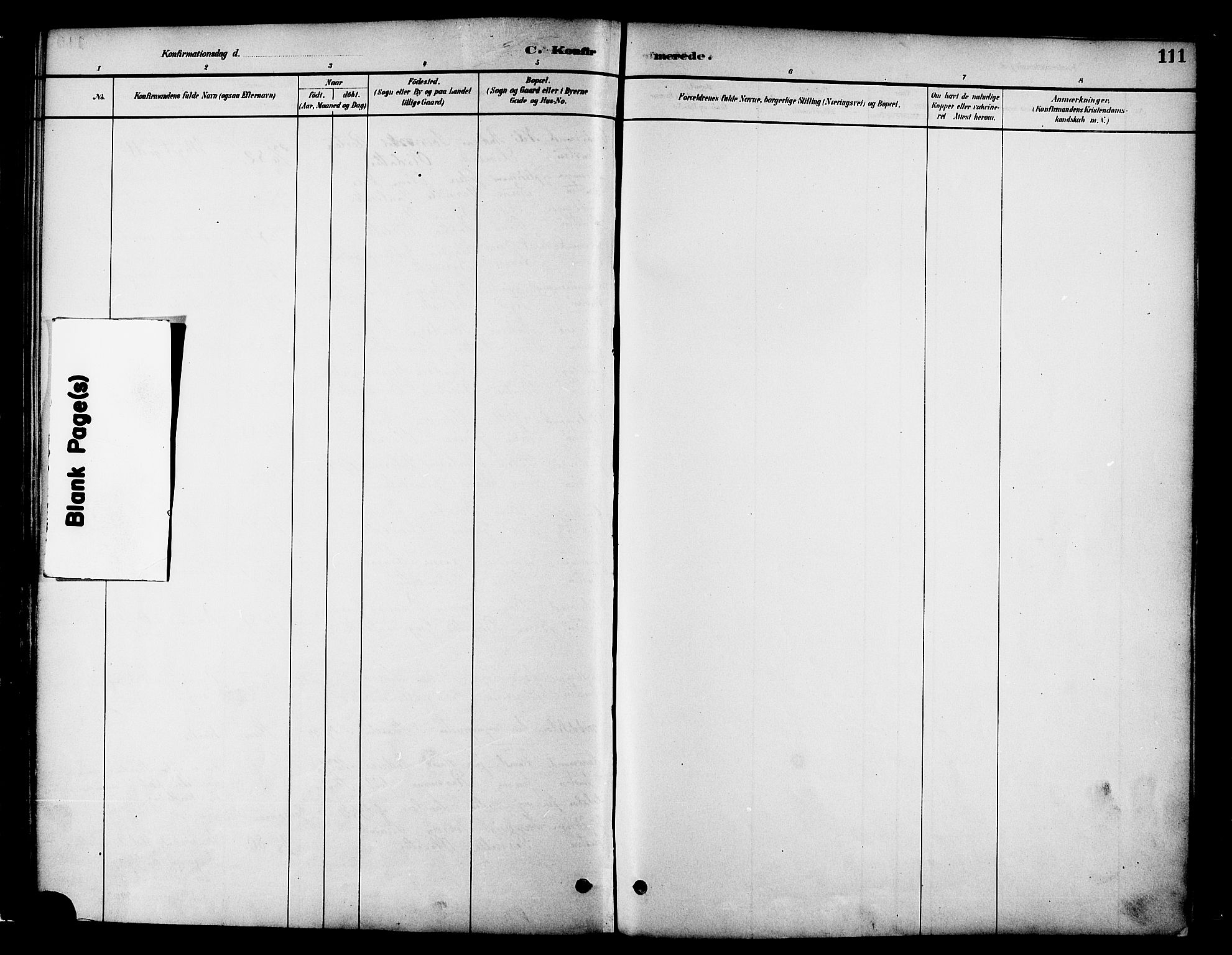 Ministerialprotokoller, klokkerbøker og fødselsregistre - Møre og Romsdal, AV/SAT-A-1454/519/L0255: Parish register (official) no. 519A14, 1884-1908, p. 111