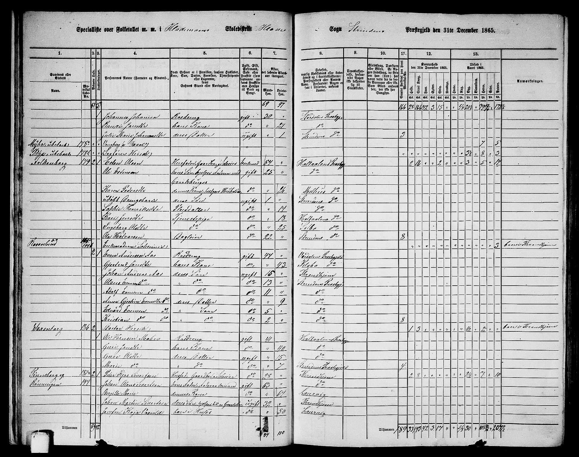 RA, 1865 census for Strinda, 1865, p. 20