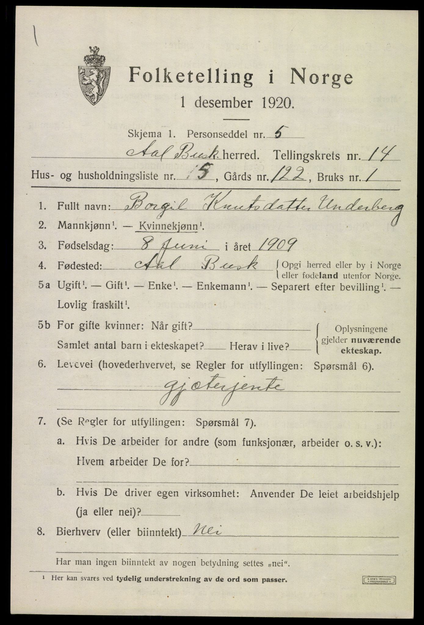 SAKO, 1920 census for Ål, 1920, p. 8132