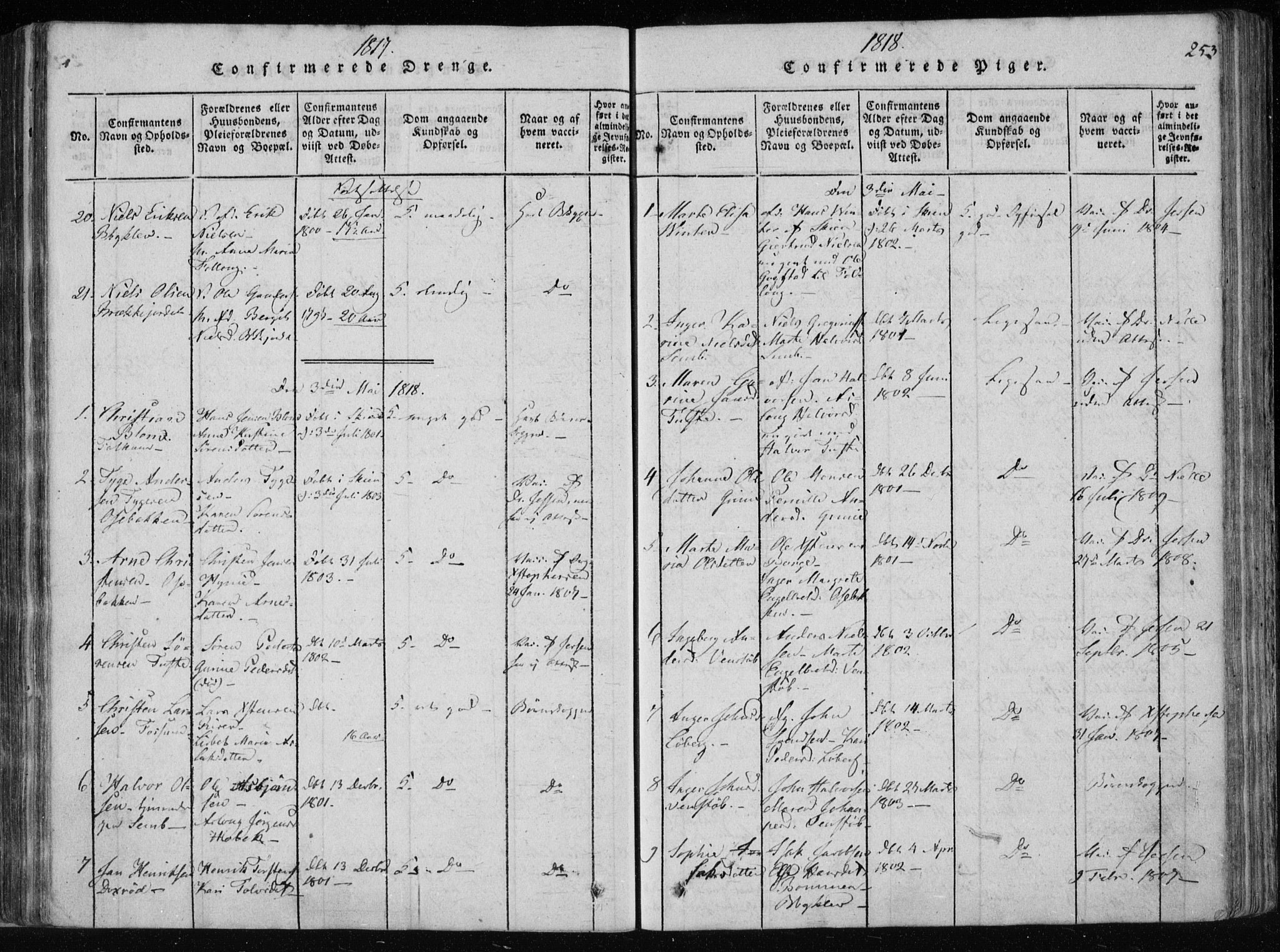 Gjerpen kirkebøker, SAKO/A-265/F/Fa/L0004: Parish register (official) no. I 4, 1814-1823, p. 253