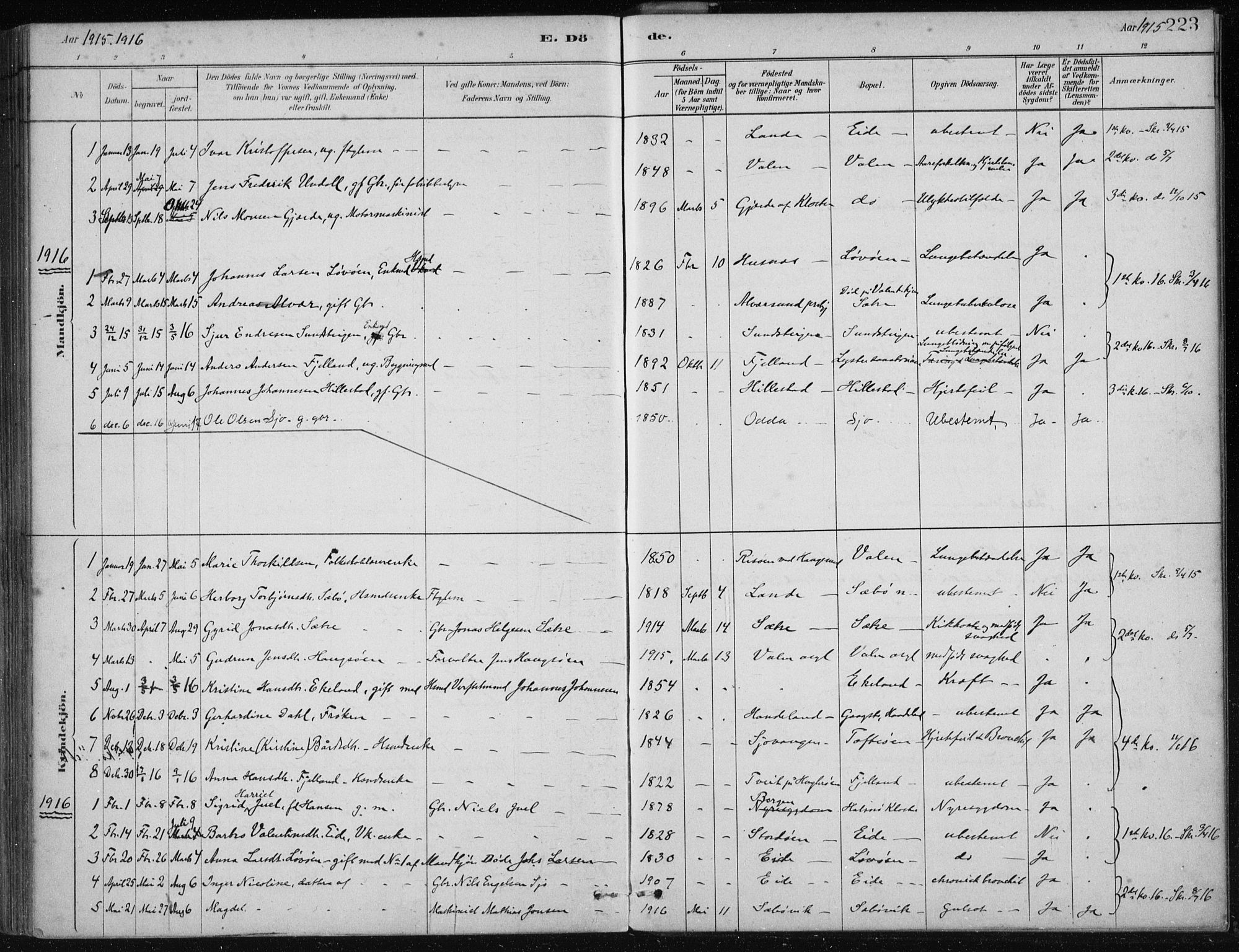 Fjelberg sokneprestembete, SAB/A-75201/H/Haa: Parish register (official) no. C  1, 1879-1918, p. 223