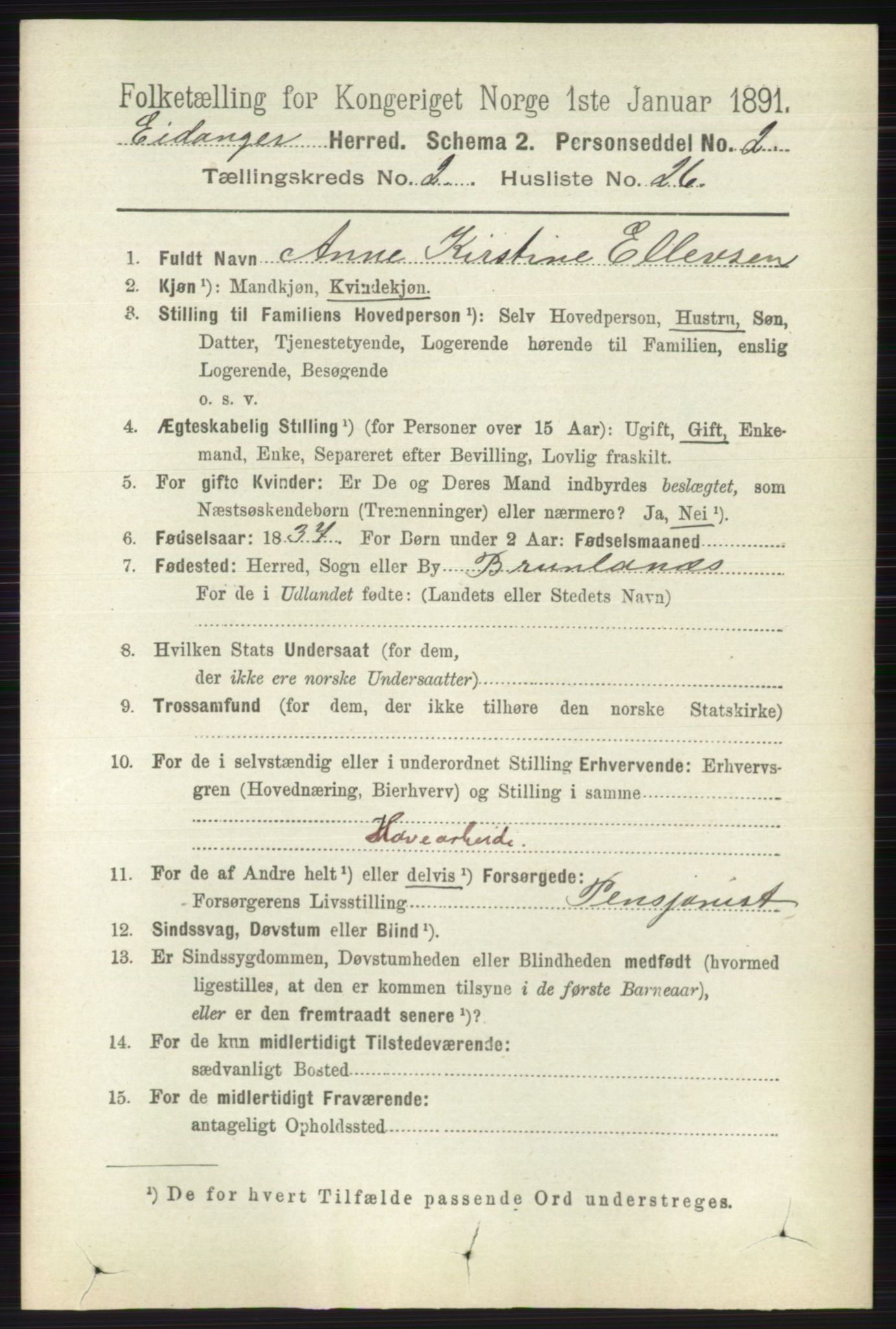 RA, 1891 census for 0813 Eidanger, 1891, p. 1037