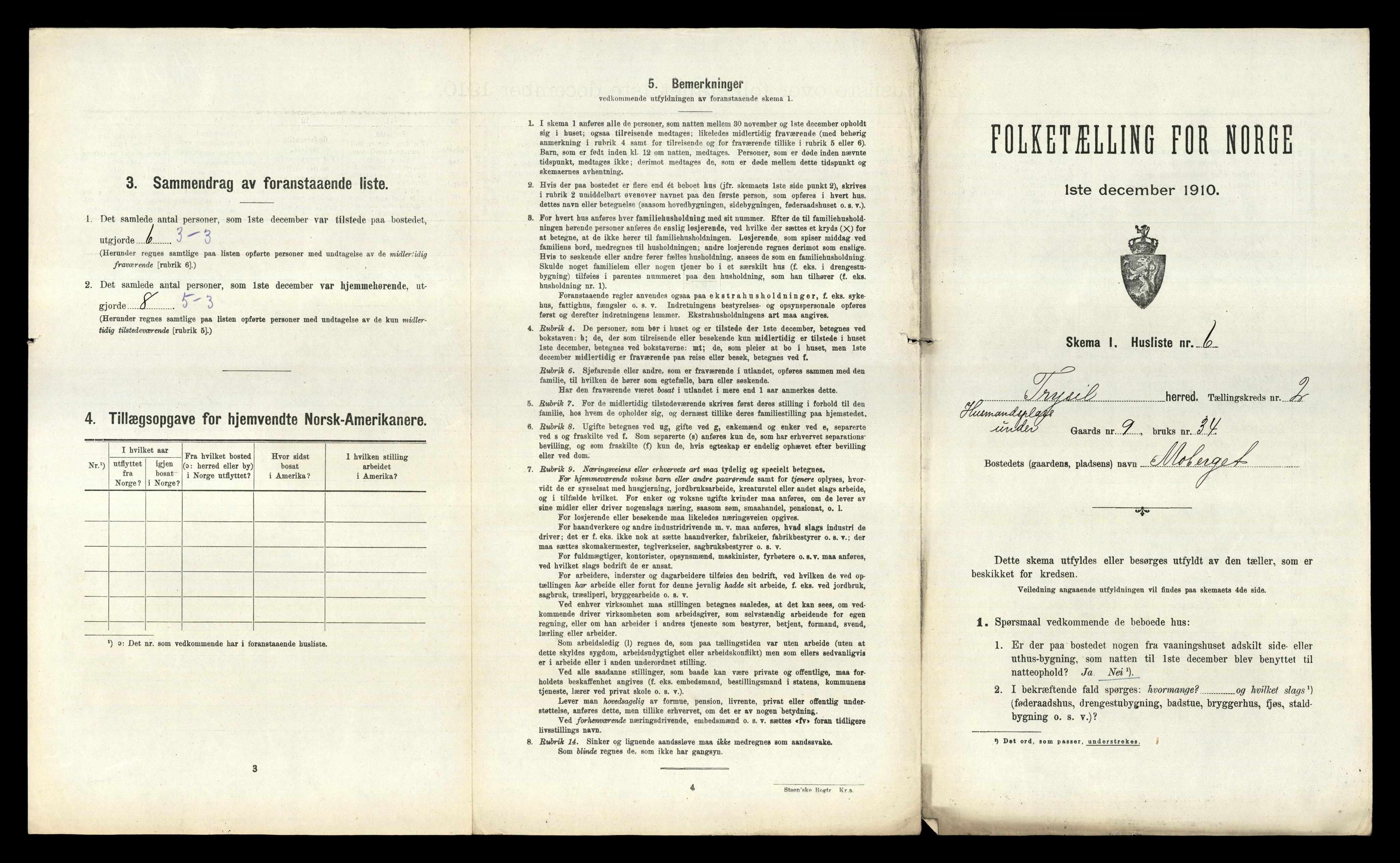 RA, 1910 census for Trysil, 1910, p. 251