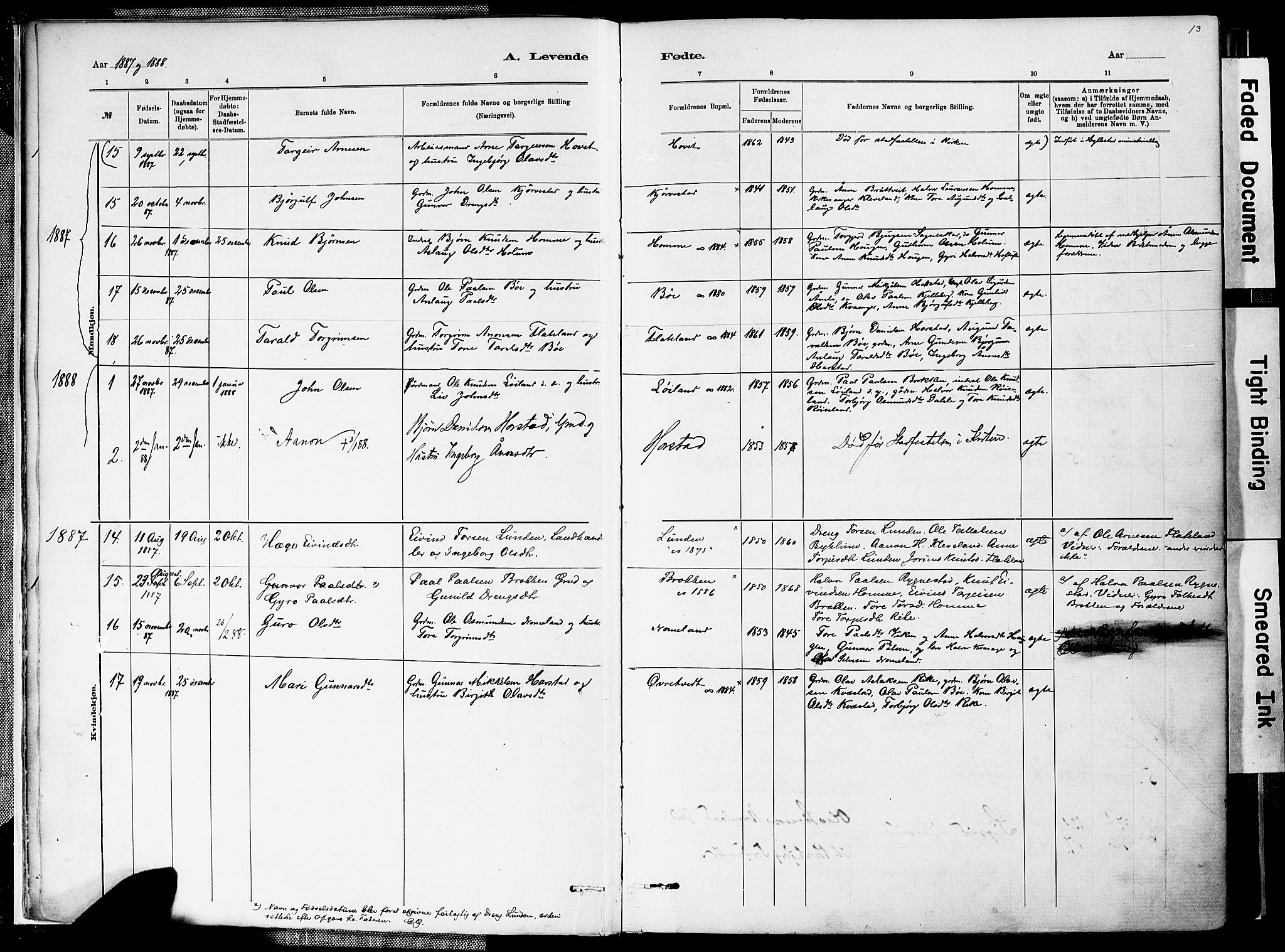 Valle sokneprestkontor, AV/SAK-1111-0044/F/Fa/Fac/L0009: Parish register (official) no. A 9, 1882-1913, p. 13