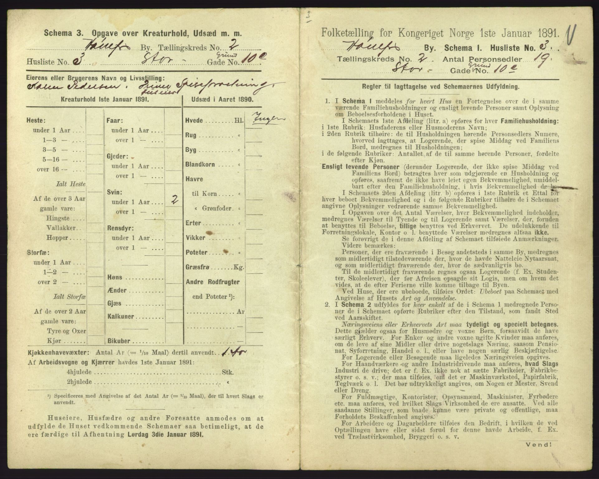 RA, 1891 census for 0601 Hønefoss, 1891, p. 91