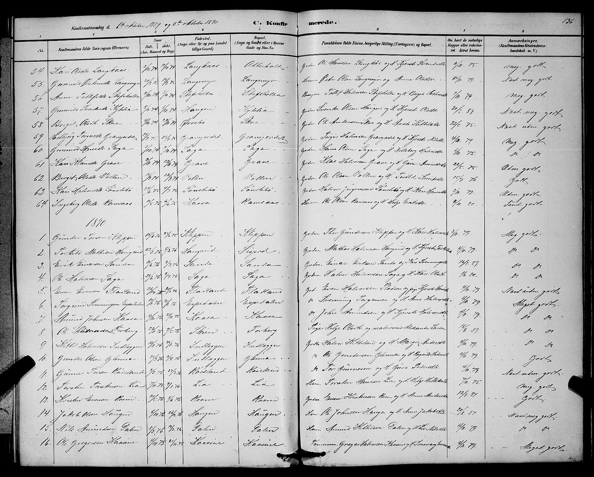 Bø kirkebøker, SAKO/A-257/G/Ga/L0005: Parish register (copy) no. 5, 1883-1897, p. 136