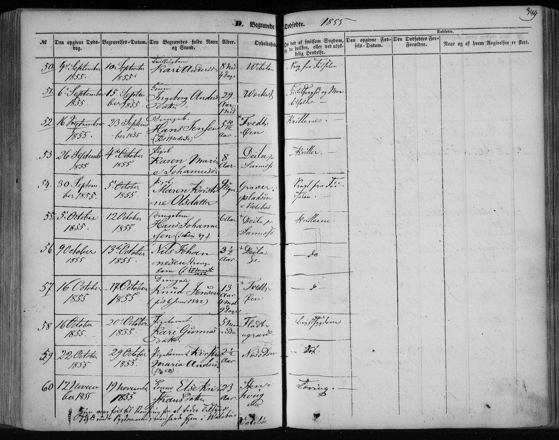 Holla kirkebøker, AV/SAKO-A-272/F/Fa/L0005: Parish register (official) no. 5, 1849-1860, p. 349