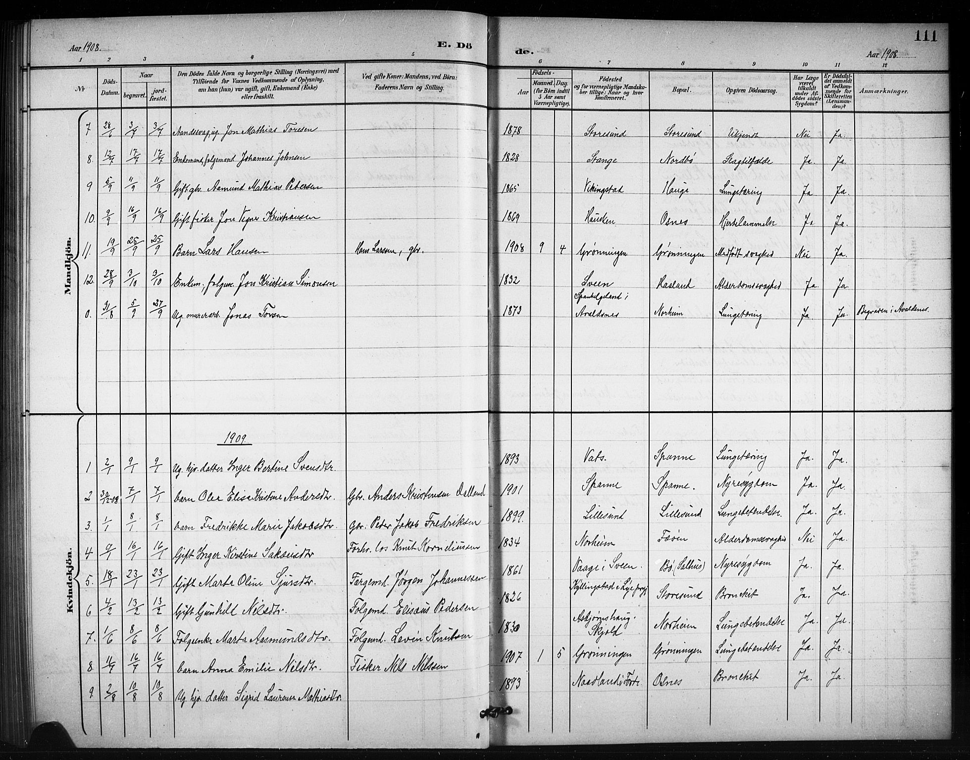 Torvastad sokneprestkontor, SAST/A -101857/H/Ha/Hab/L0008: Parish register (copy) no. B 8, 1901-1924, p. 111