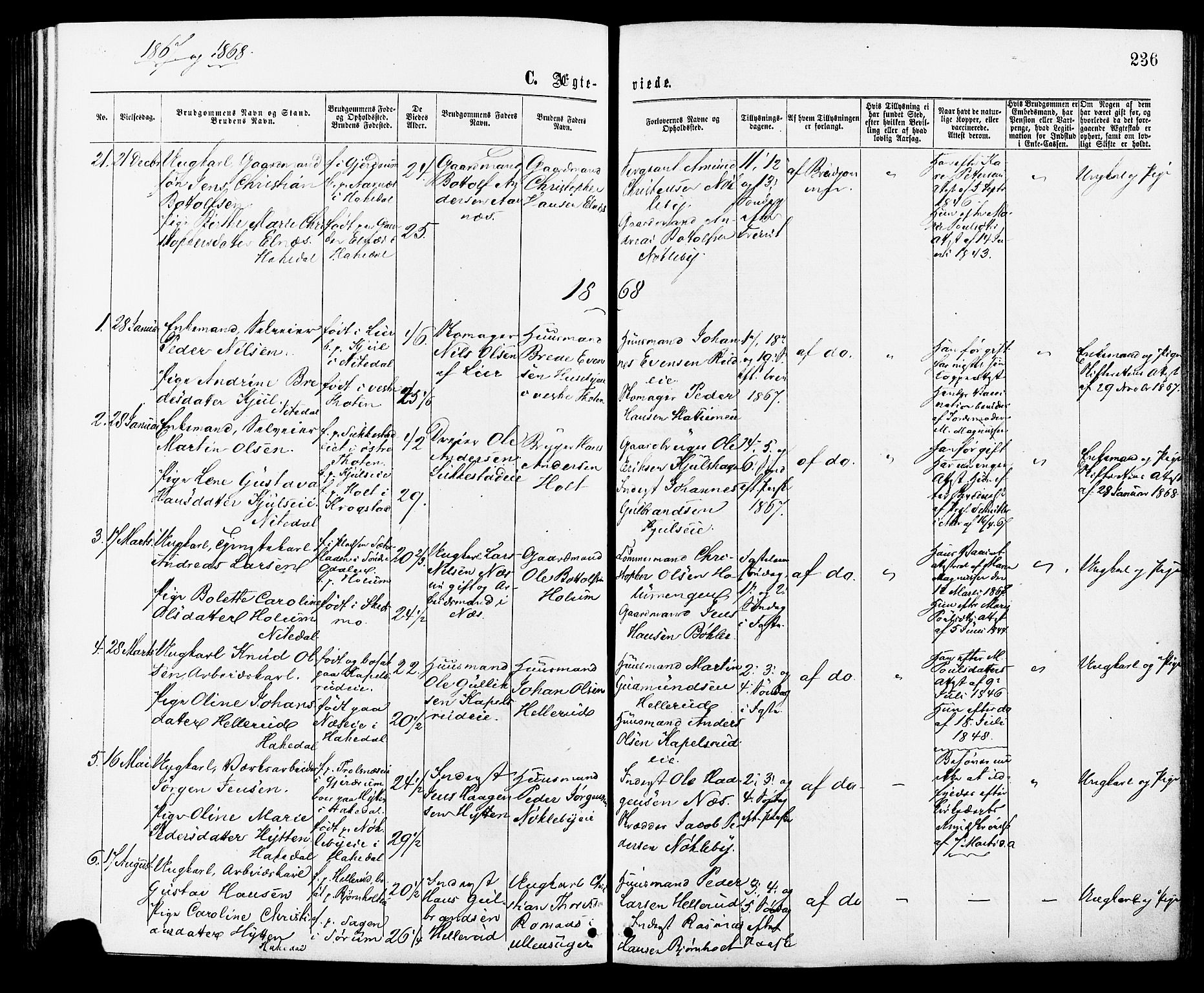 Nittedal prestekontor Kirkebøker, SAO/A-10365a/F/Fa/L0006: Parish register (official) no. I 6, 1863-1878, p. 236