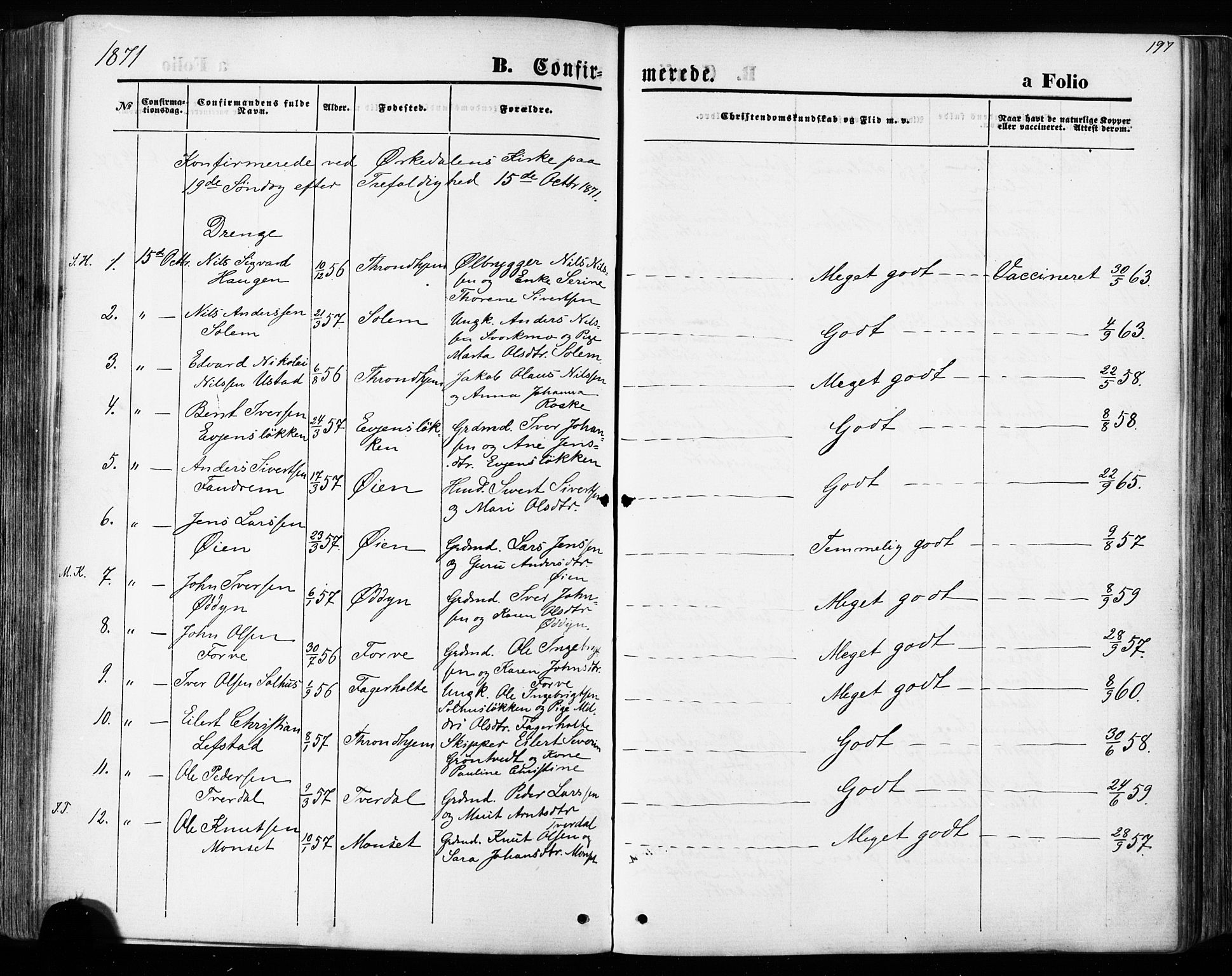 Ministerialprotokoller, klokkerbøker og fødselsregistre - Sør-Trøndelag, AV/SAT-A-1456/668/L0807: Parish register (official) no. 668A07, 1870-1880, p. 197