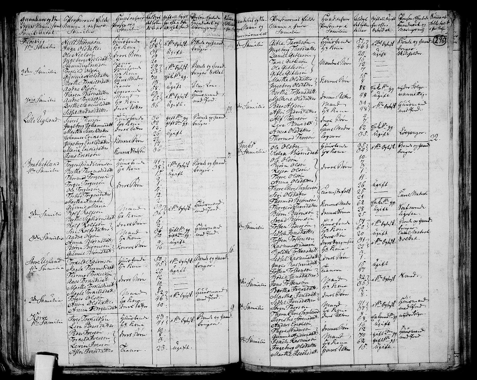 RA, 1801 census for 1130P Strand, 1801, p. 295b-296a