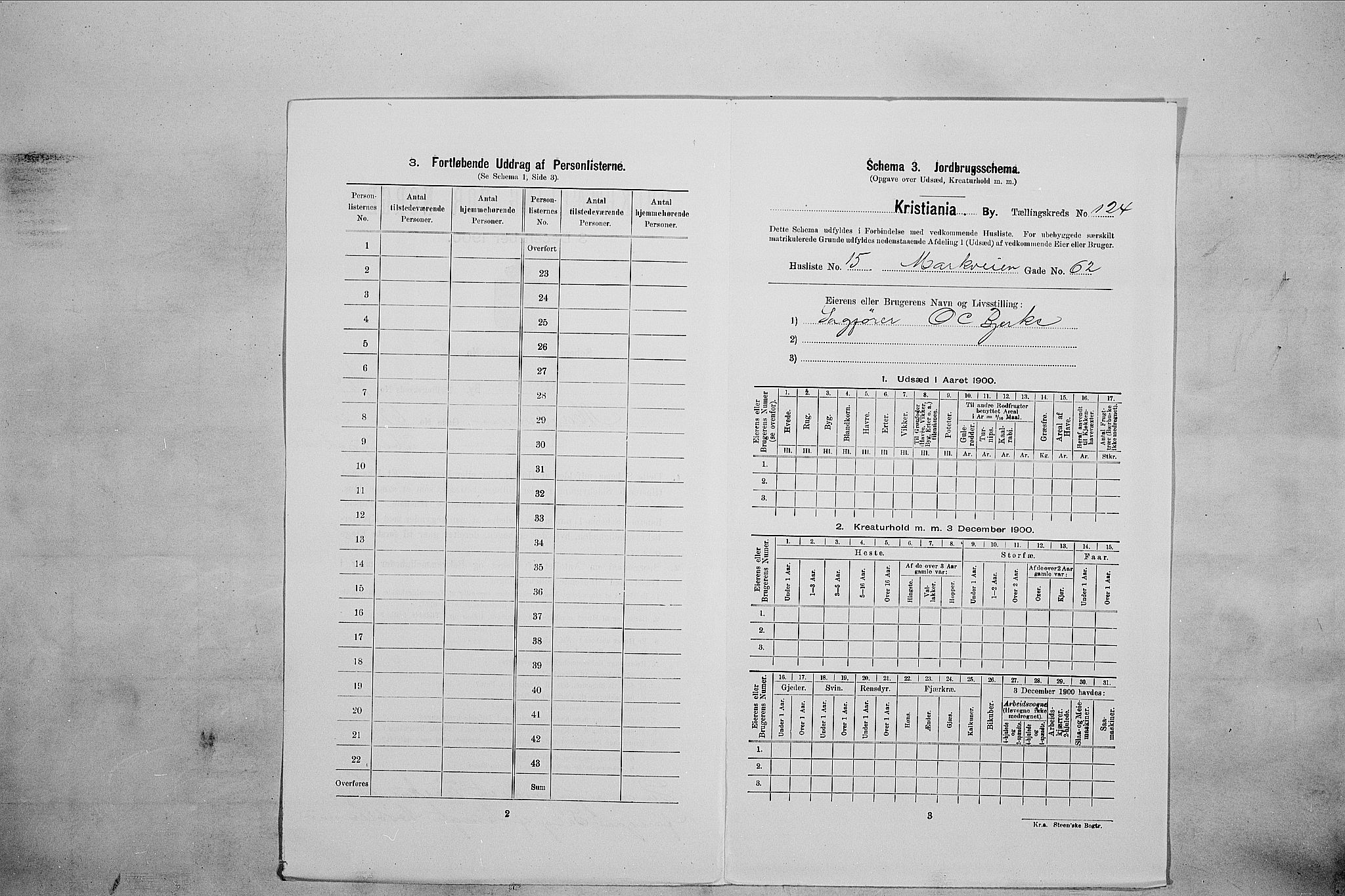 SAO, 1900 census for Kristiania, 1900, p. 58674