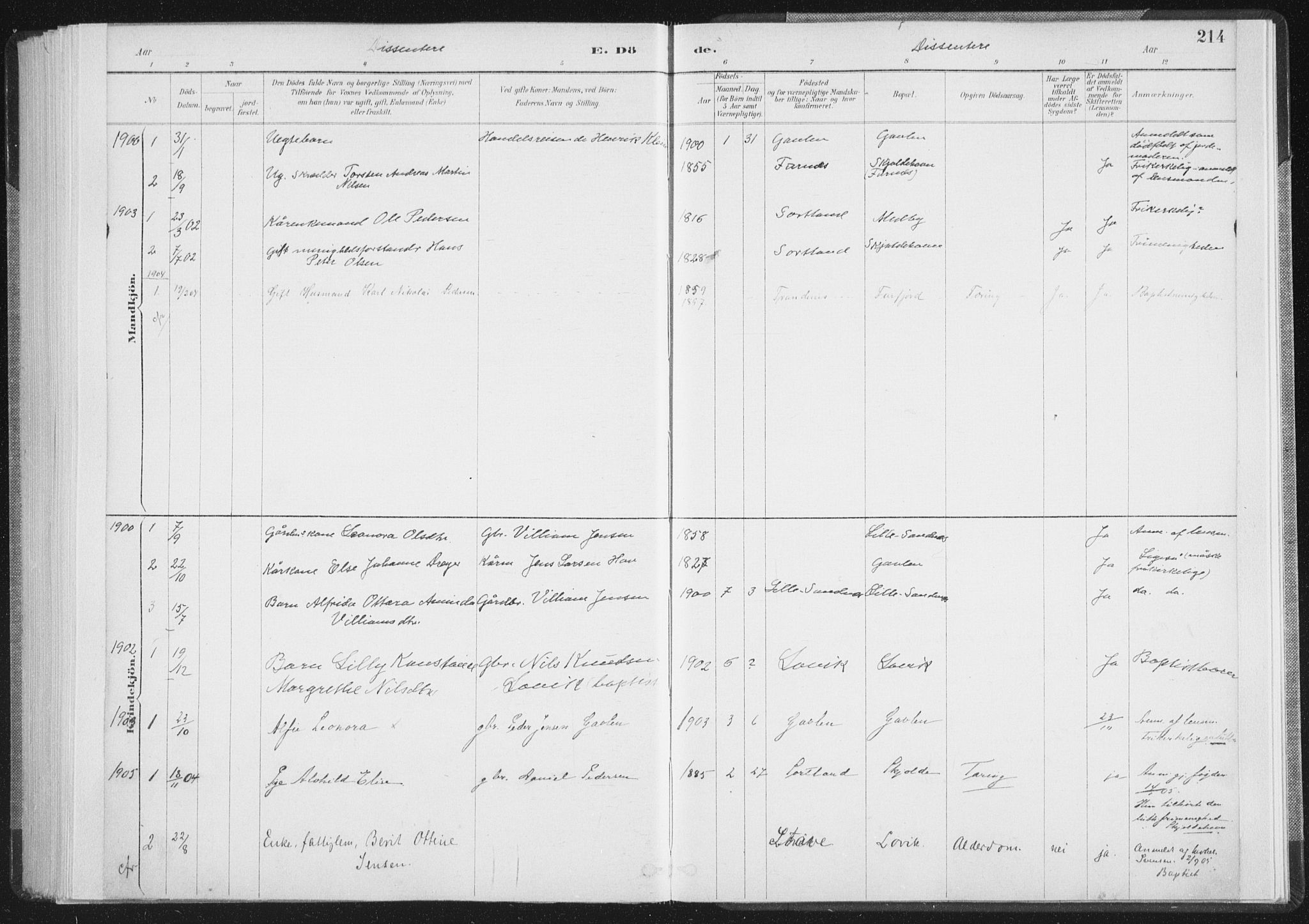 Ministerialprotokoller, klokkerbøker og fødselsregistre - Nordland, SAT/A-1459/898/L1422: Parish register (official) no. 898A02, 1887-1908, p. 214