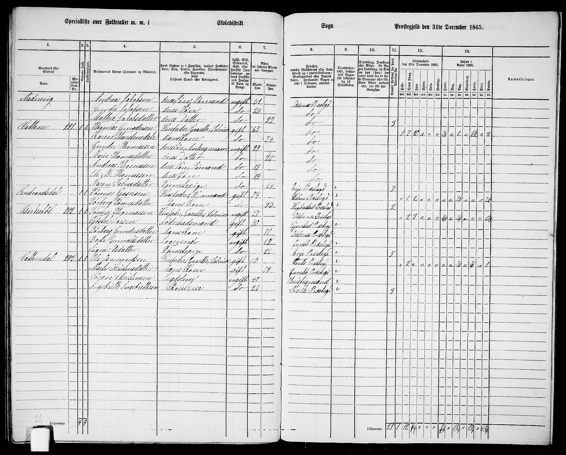 RA, 1865 census for Oddernes, 1865, p. 156