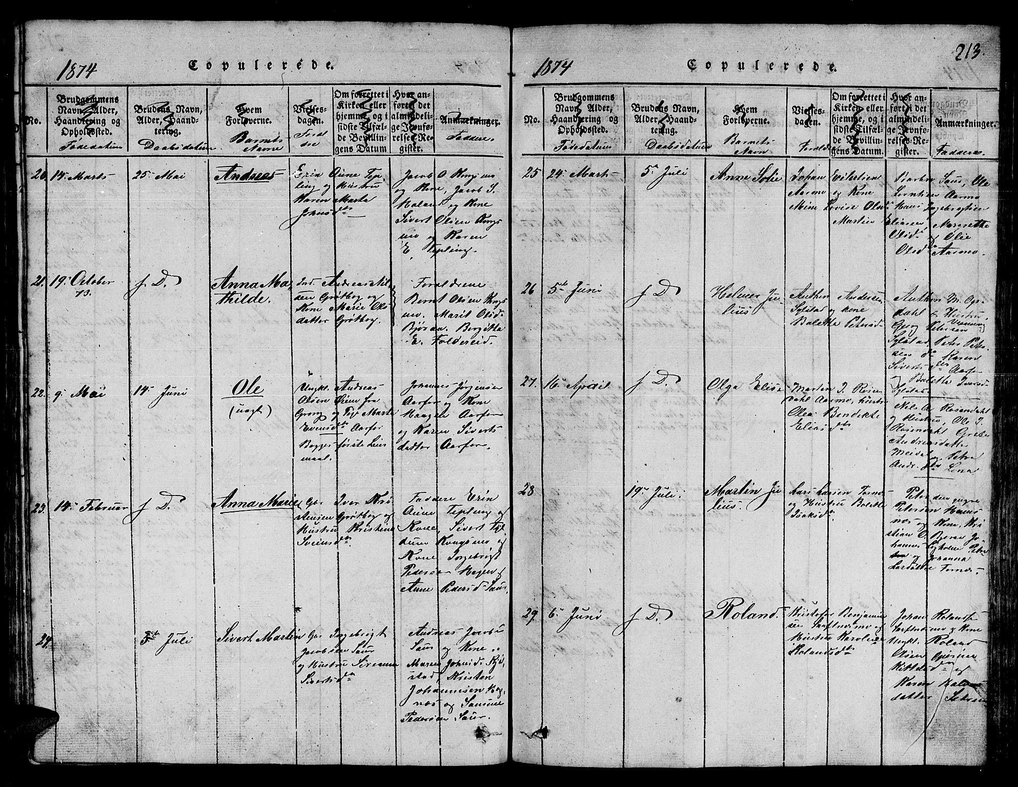 Ministerialprotokoller, klokkerbøker og fødselsregistre - Nord-Trøndelag, SAT/A-1458/780/L0648: Parish register (copy) no. 780C01 /3, 1815-1877, p. 213