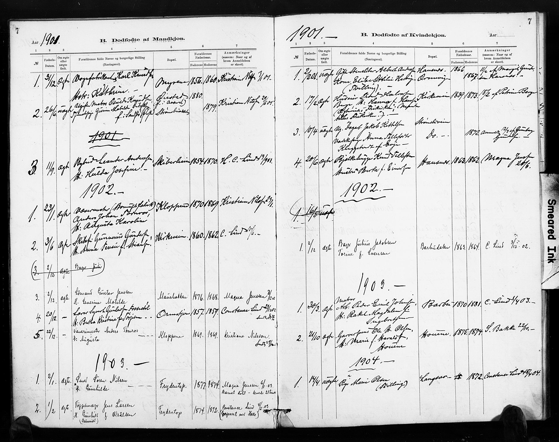 Barbu sokneprestkontor, AV/SAK-1111-0003/F/Fa/L0004: Parish register (official) no. A 4, 1883-1909, p. 7