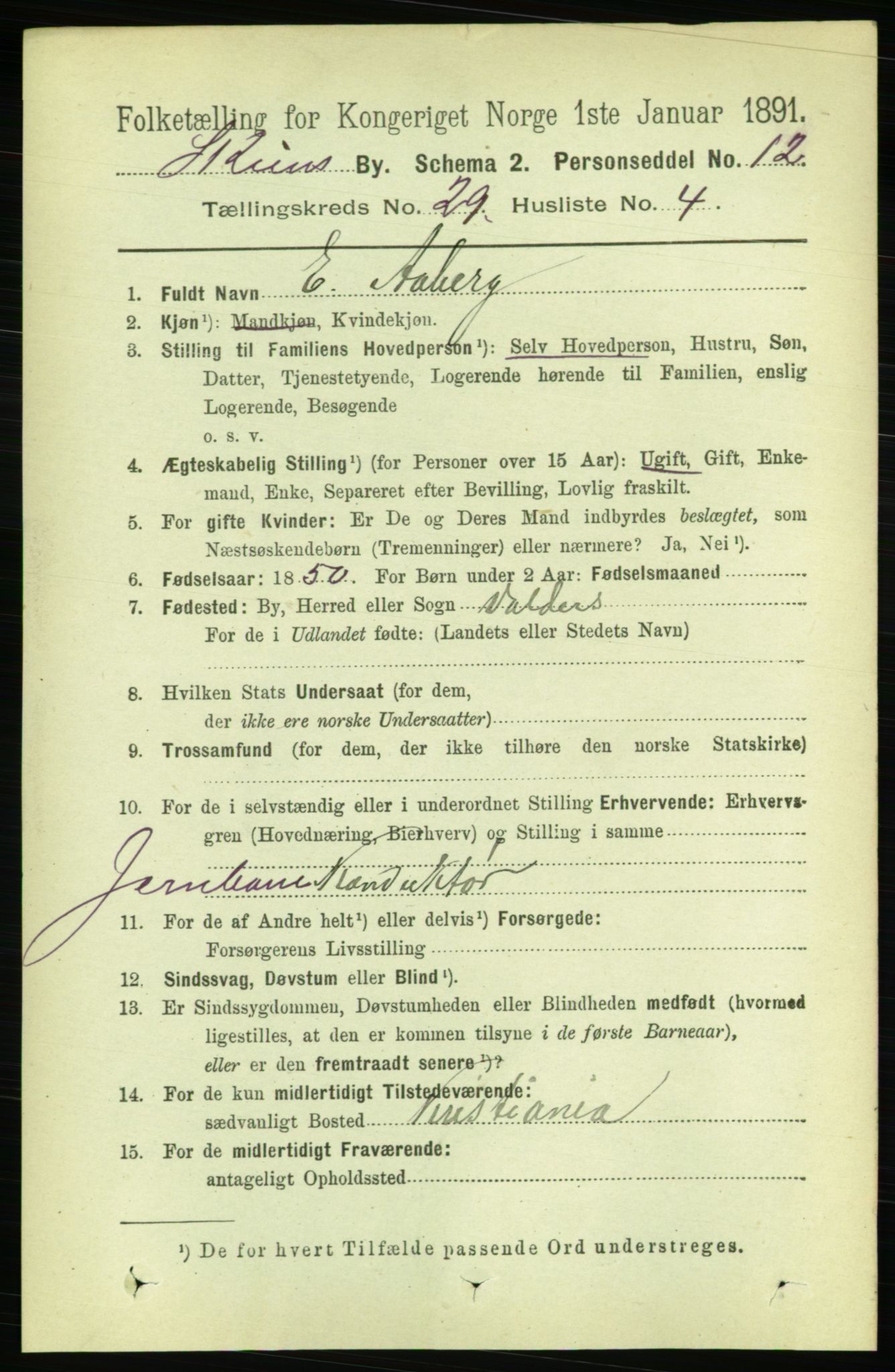 RA, 1891 census for 0806 Skien, 1891, p. 6736