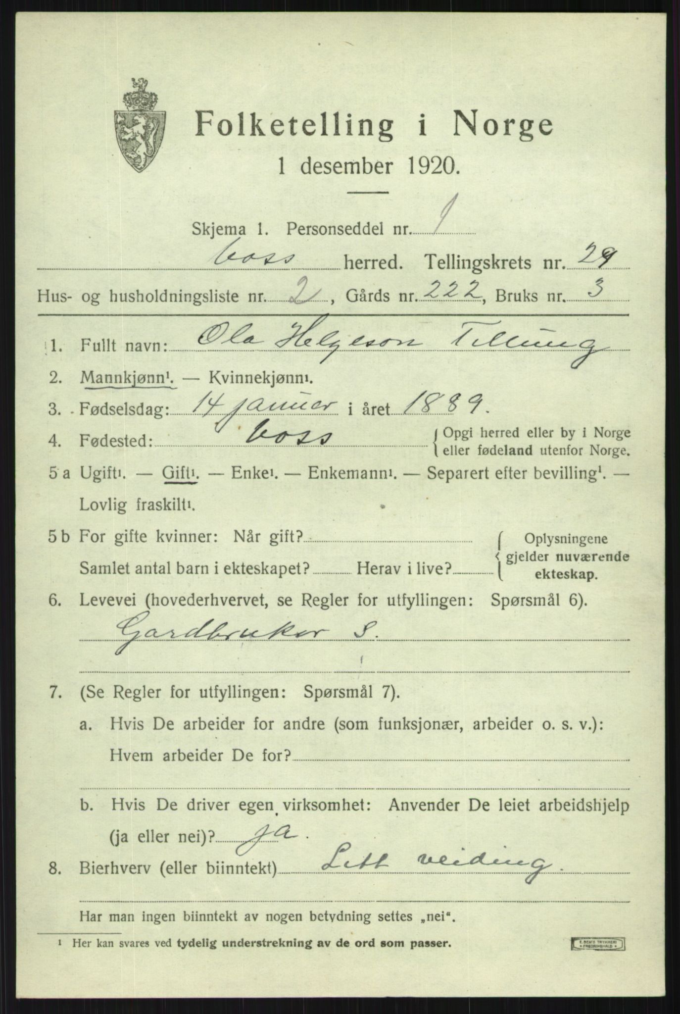 SAB, 1920 census for Voss, 1920, p. 19273