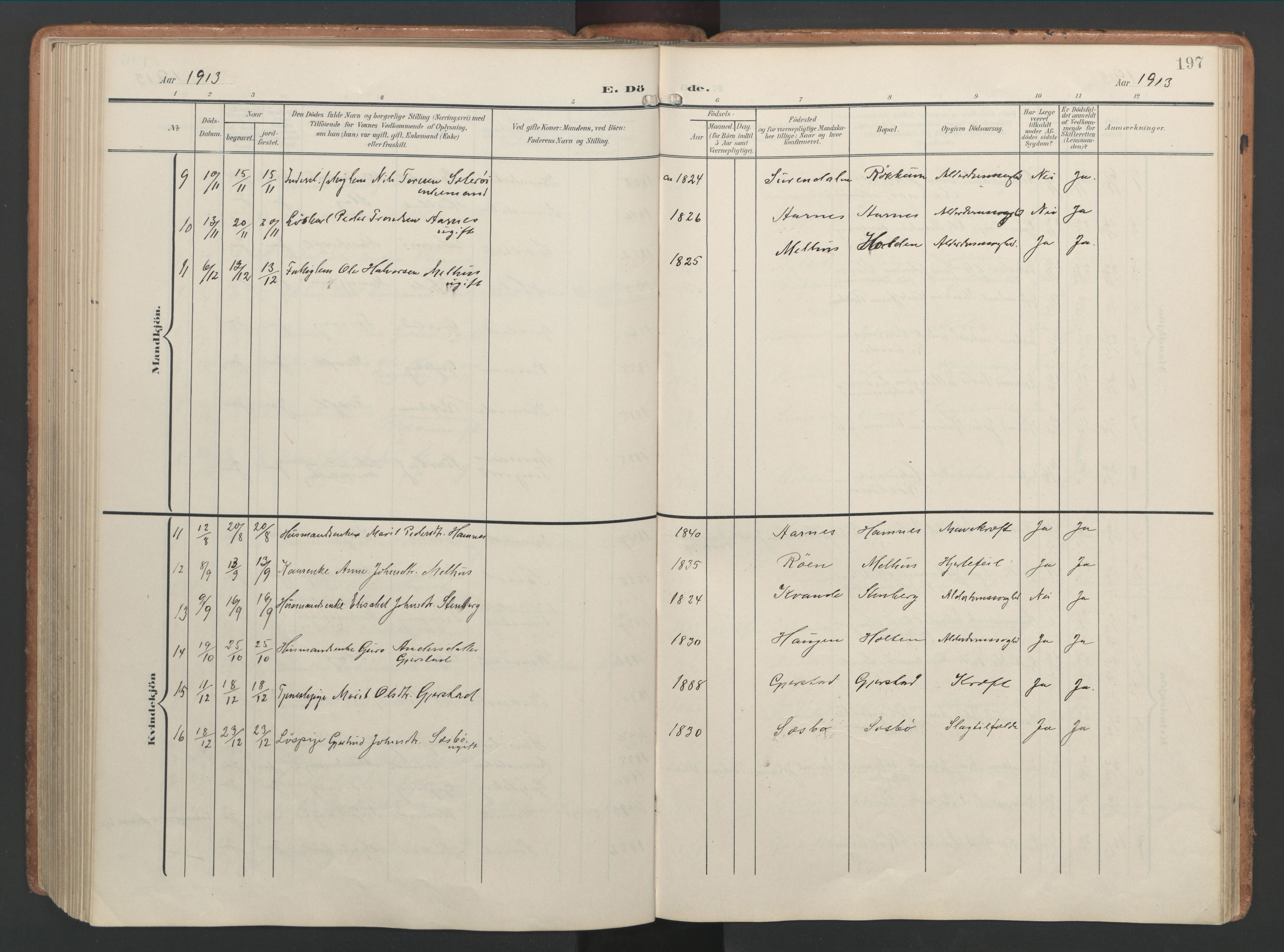 Ministerialprotokoller, klokkerbøker og fødselsregistre - Møre og Romsdal, AV/SAT-A-1454/592/L1030: Parish register (official) no. 592A08, 1901-1925, p. 197