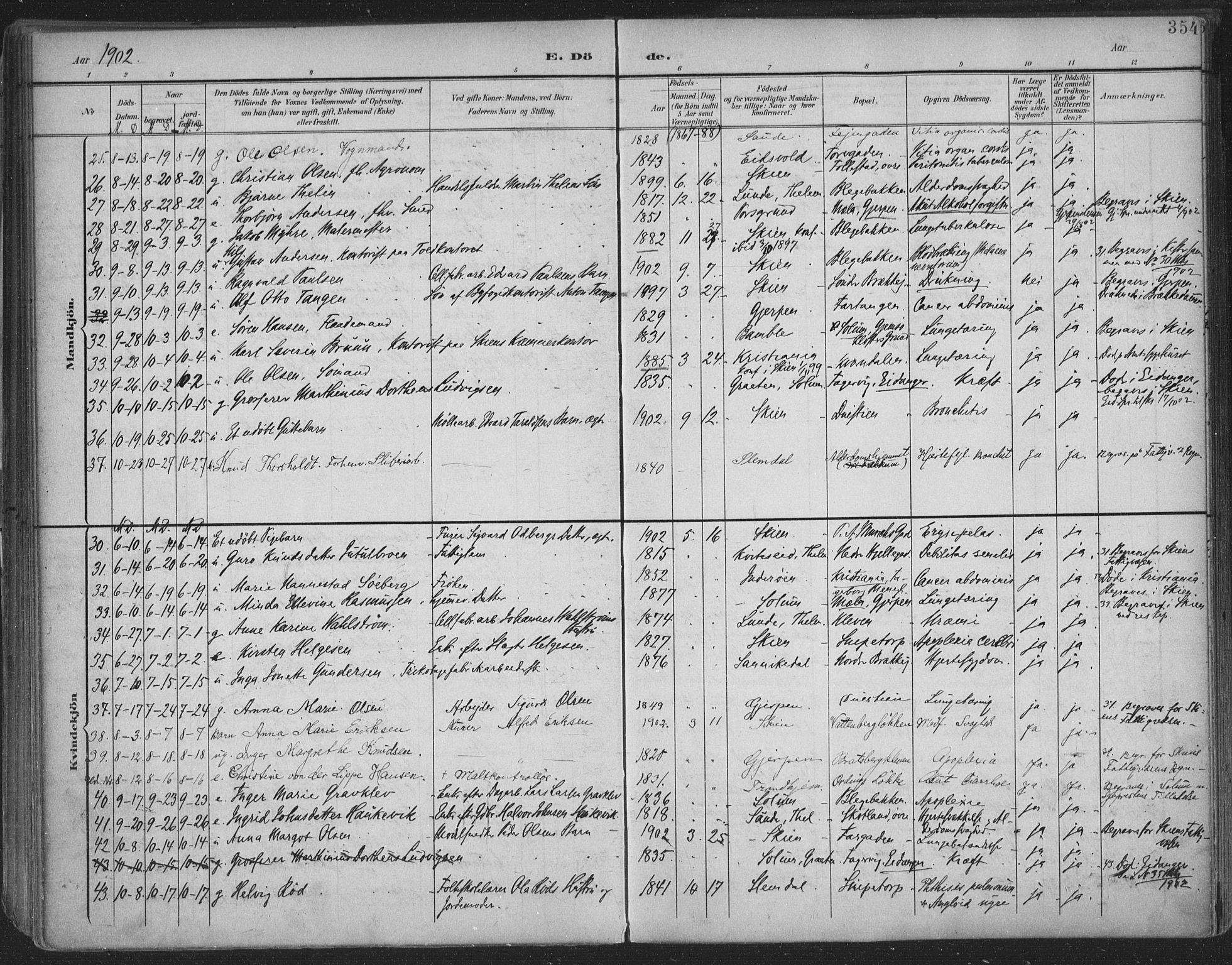Skien kirkebøker, SAKO/A-302/F/Fa/L0011: Parish register (official) no. 11, 1900-1907, p. 354