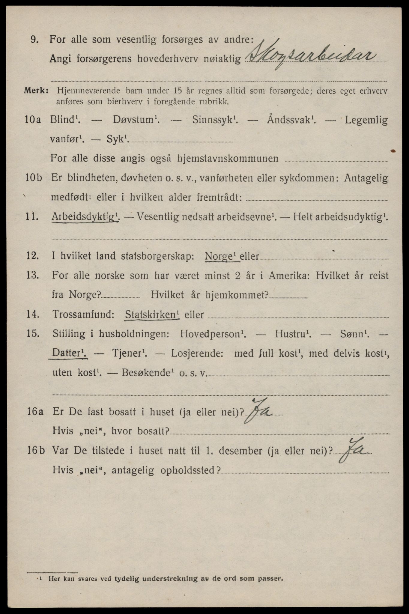 SAKO, 1920 census for Vinje, 1920, p. 1258
