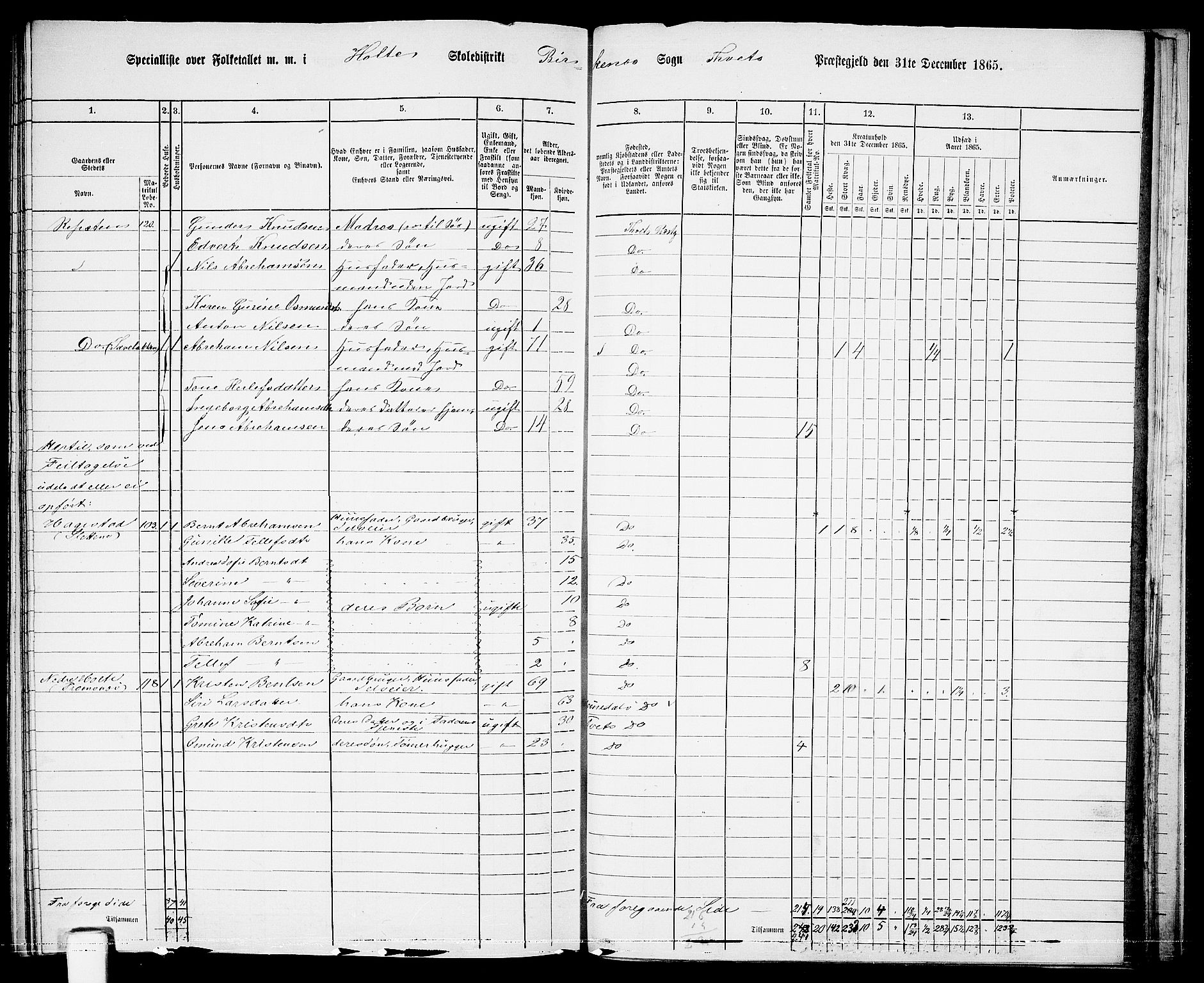 RA, 1865 census for Tveit, 1865, p. 134