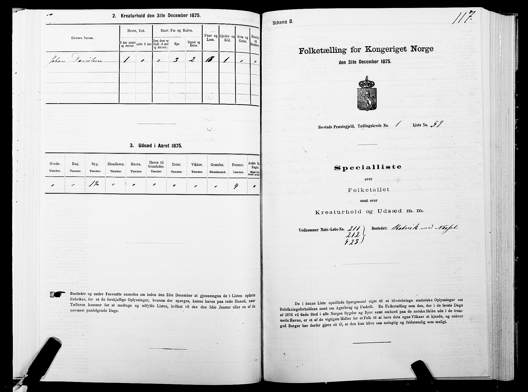 SATØ, 1875 census for 1917P Ibestad, 1875, p. 1117
