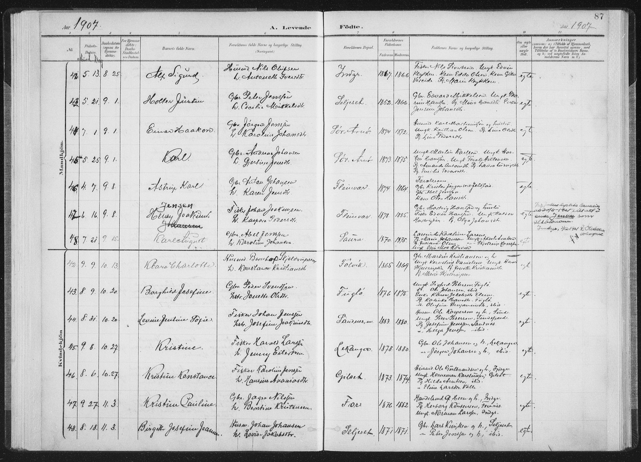 Ministerialprotokoller, klokkerbøker og fødselsregistre - Nordland, AV/SAT-A-1459/805/L0102: Parish register (official) no. 805A08I, 1900-1909, p. 87