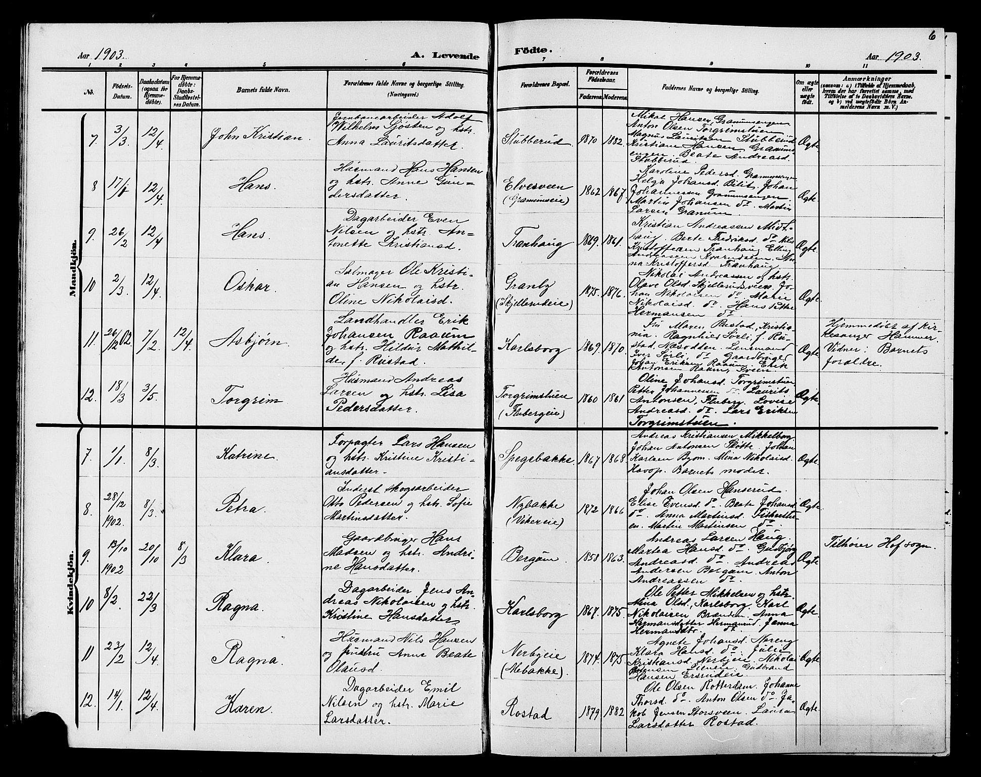 Søndre Land prestekontor, AV/SAH-PREST-122/L/L0005: Parish register (copy) no. 5, 1902-1911, p. 6