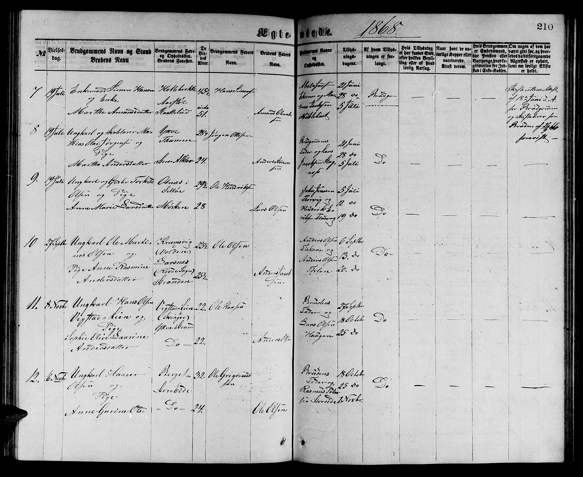 Ministerialprotokoller, klokkerbøker og fødselsregistre - Møre og Romsdal, SAT/A-1454/501/L0016: Parish register (copy) no. 501C02, 1868-1884, p. 210