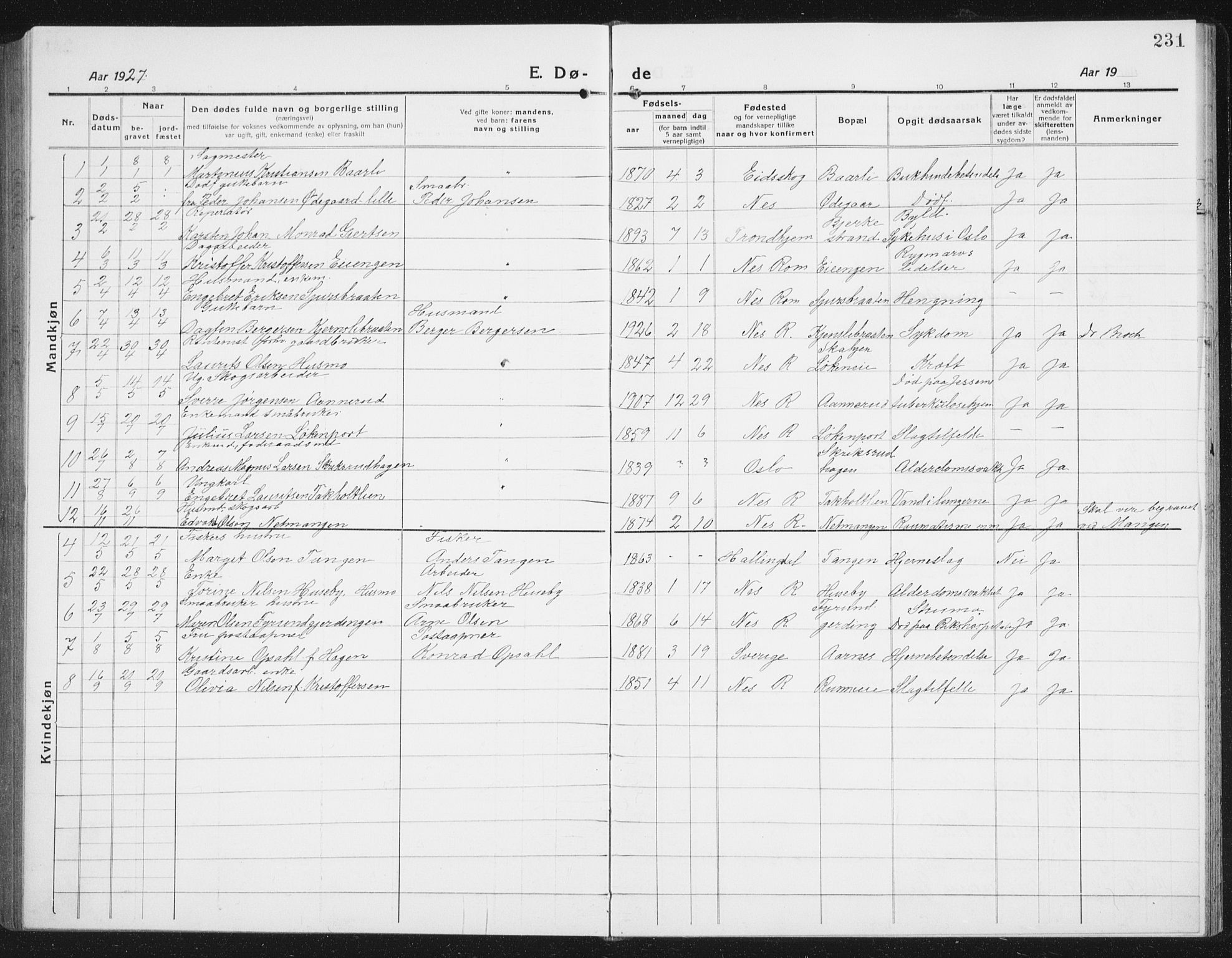 Nes prestekontor Kirkebøker, AV/SAO-A-10410/G/Gc/L0002: Parish register (copy) no. III 2, 1915-1943, p. 231