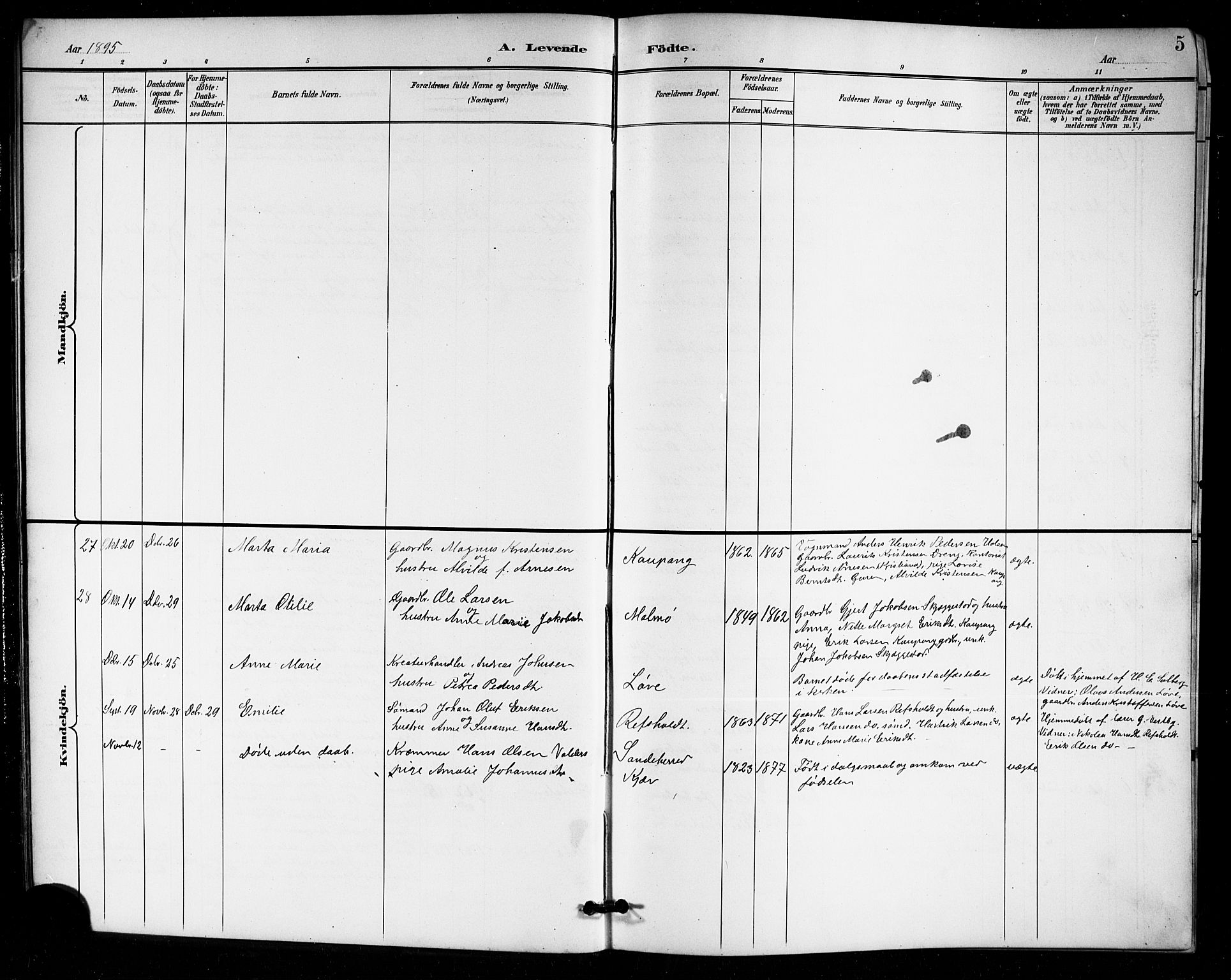 Tjølling kirkebøker, AV/SAKO-A-60/G/Ga/L0002: Parish register (copy) no. 2, 1895-1918, p. 5