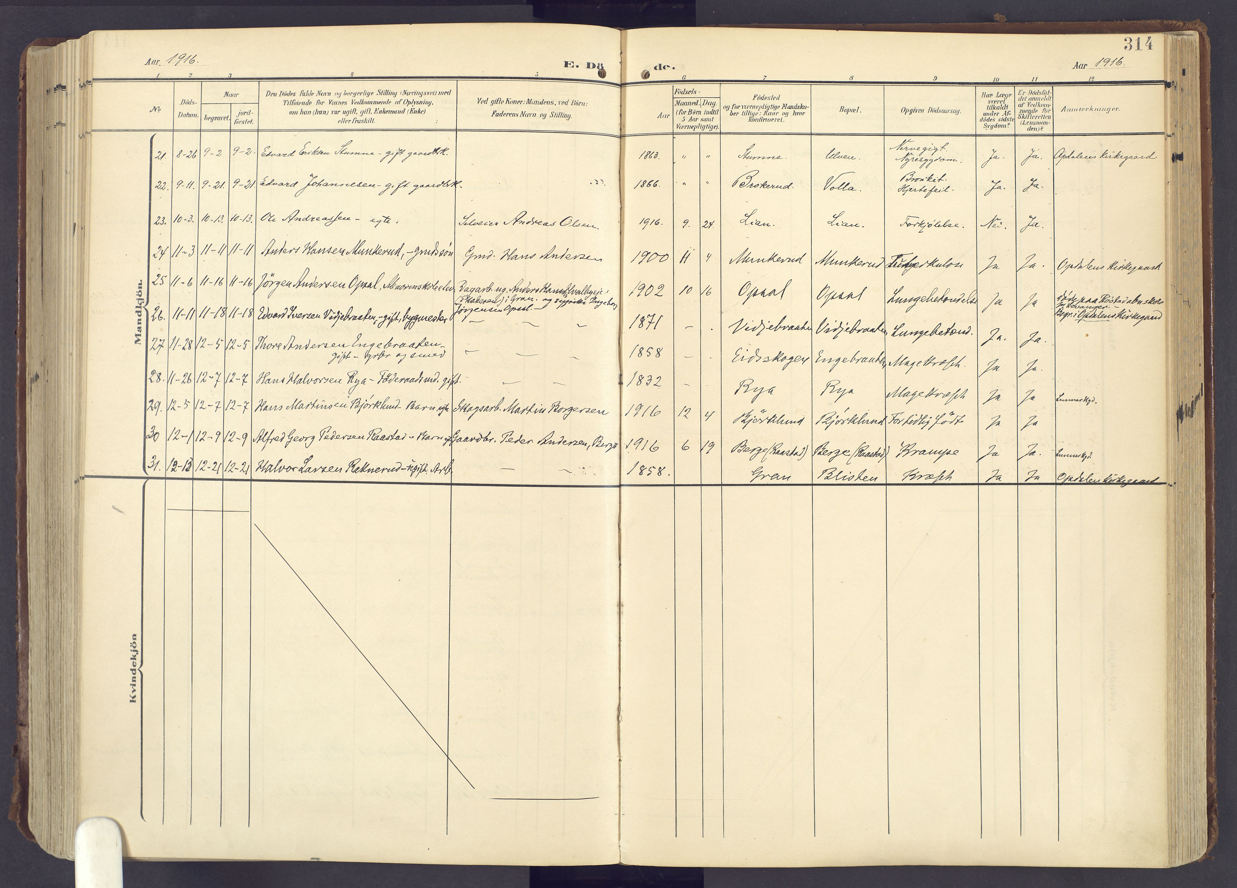 Lunner prestekontor, AV/SAH-PREST-118/H/Ha/Haa/L0001: Parish register (official) no. 1, 1907-1922, p. 314
