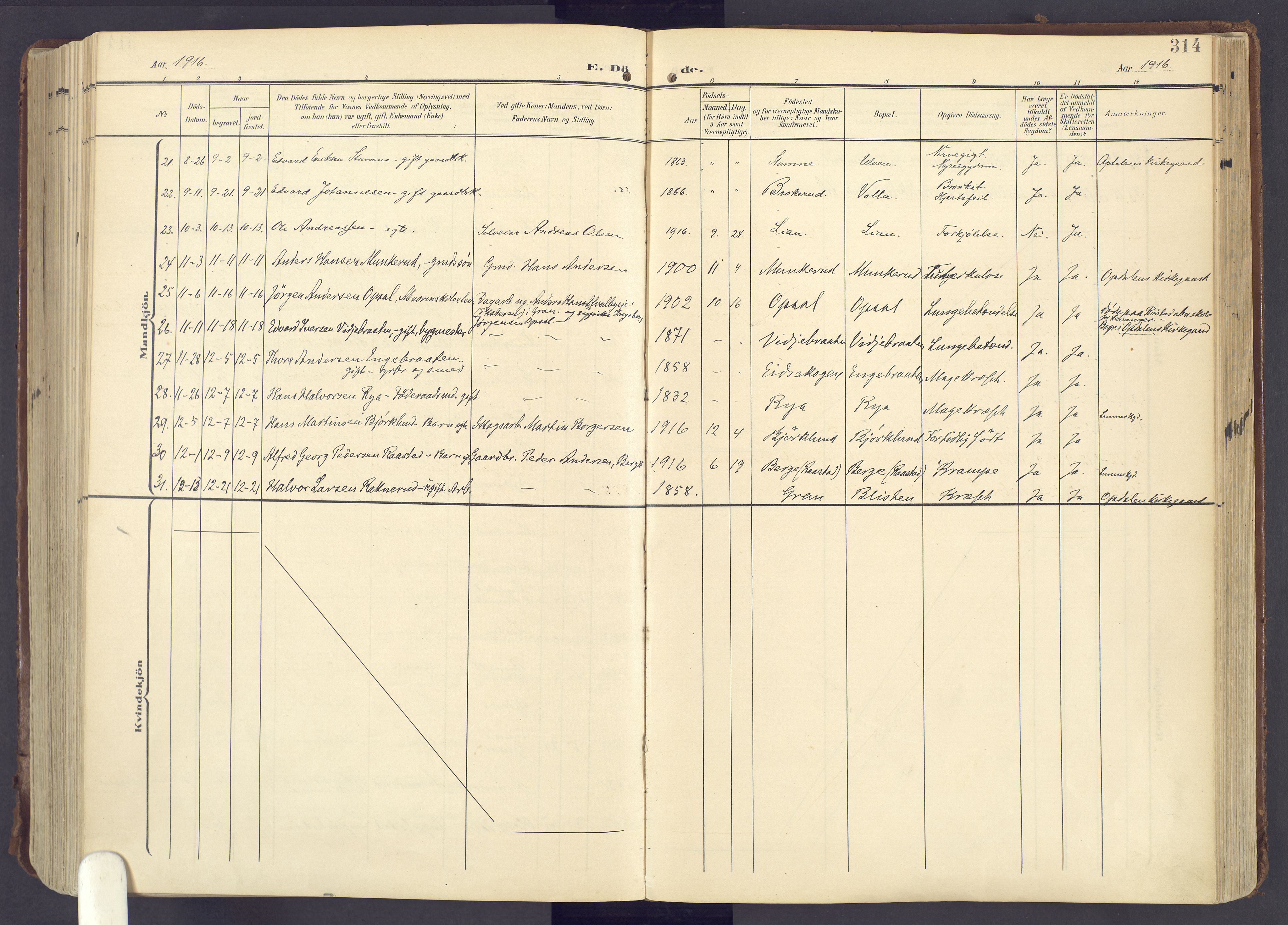 Lunner prestekontor, AV/SAH-PREST-118/H/Ha/Haa/L0001: Parish register (official) no. 1, 1907-1922, p. 314