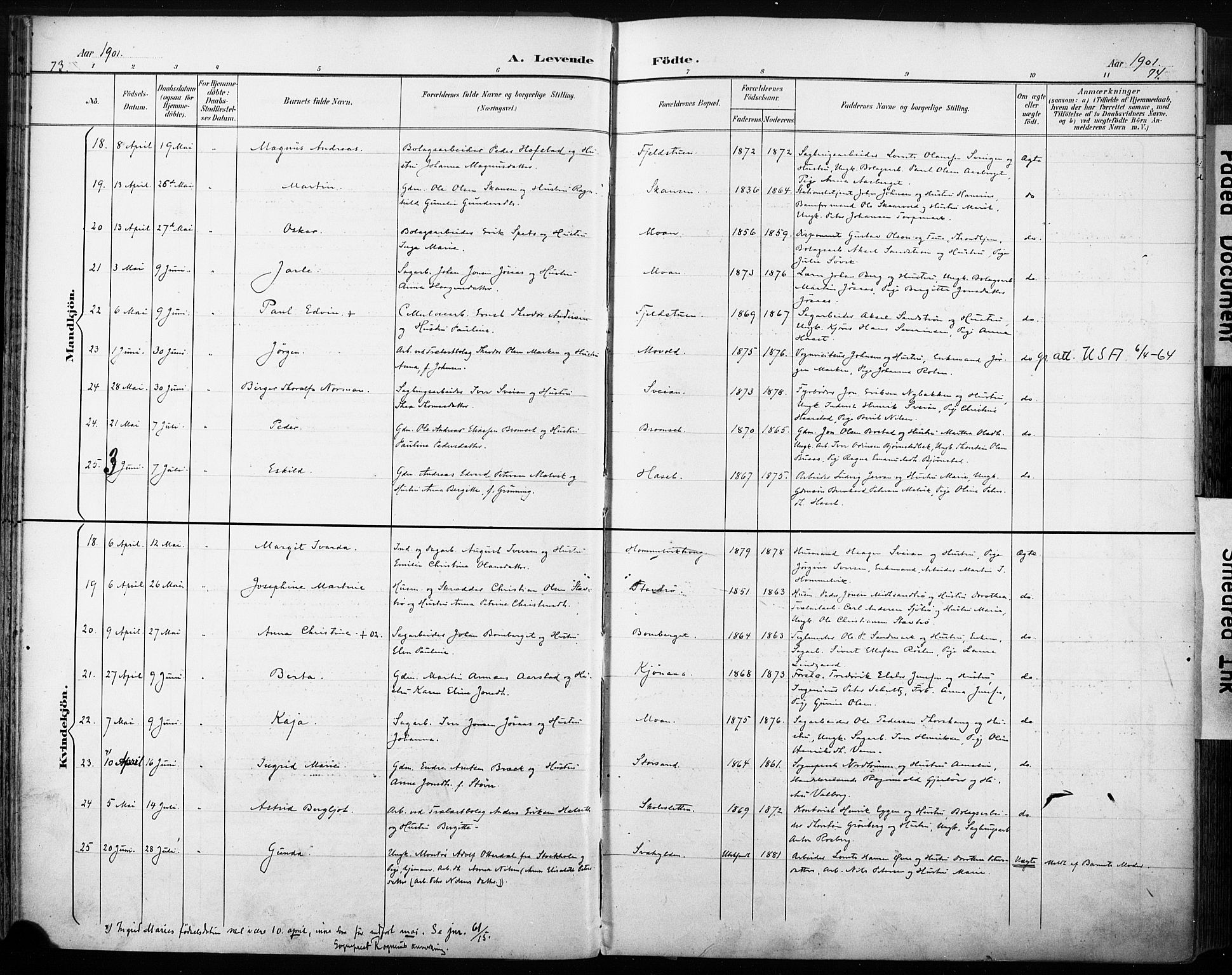 Ministerialprotokoller, klokkerbøker og fødselsregistre - Sør-Trøndelag, AV/SAT-A-1456/616/L0411: Parish register (official) no. 616A08, 1894-1906, p. 73-74