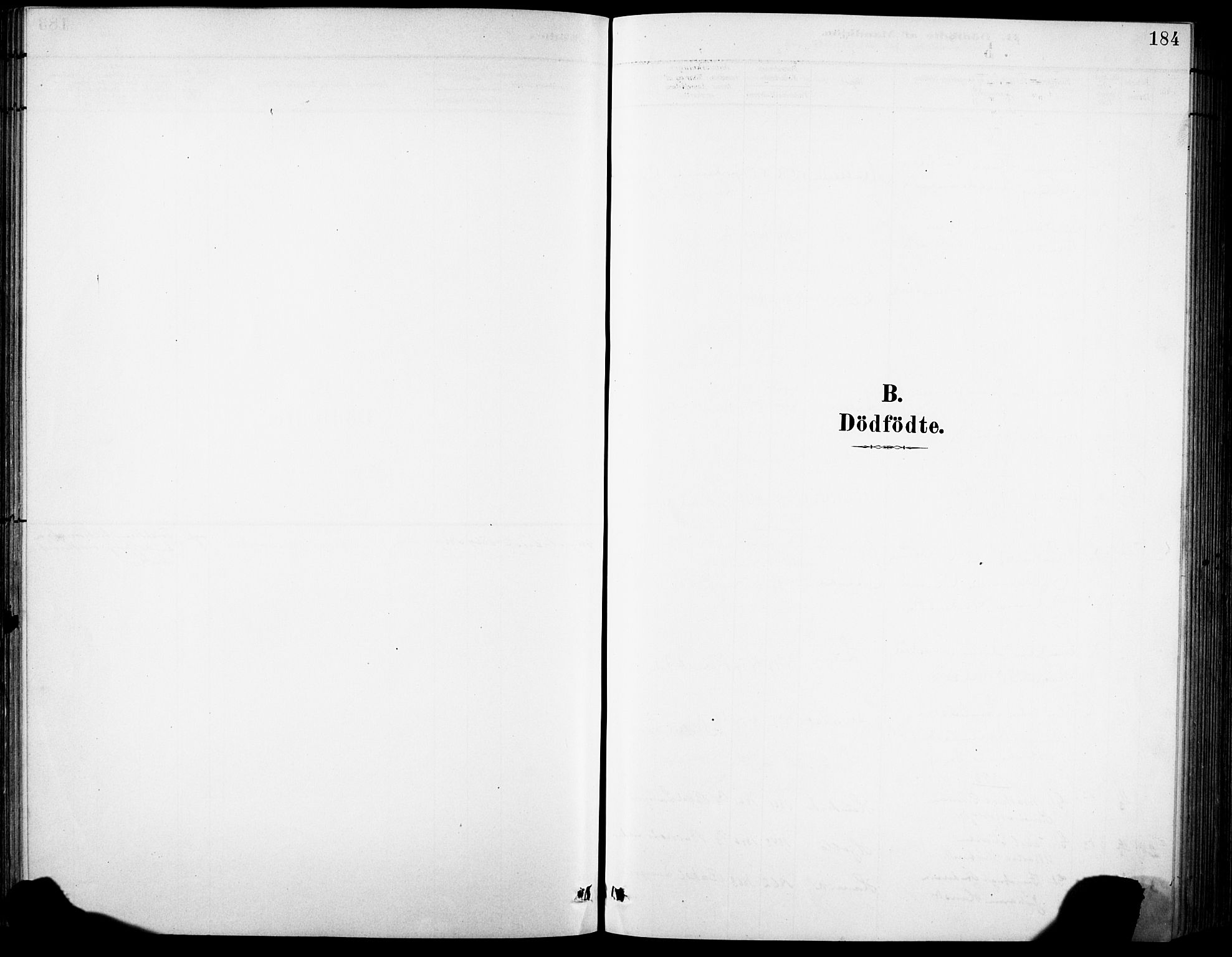 Eid sokneprestembete, AV/SAB-A-82301/H/Hab/Habb/L0002: Parish register (copy) no. B 2, 1882-1907, p. 184