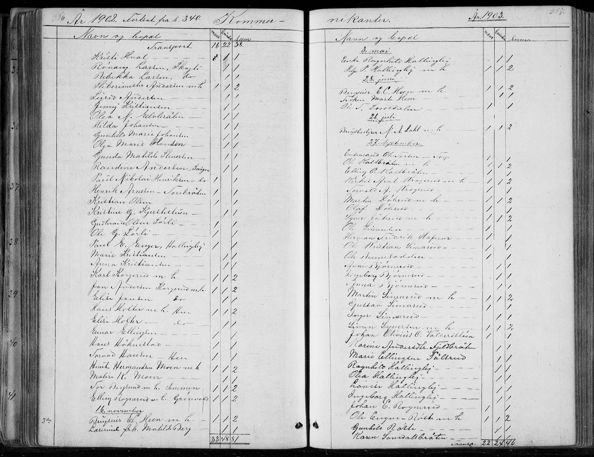 Ådal kirkebøker, SAKO/A-248/G/Gc/L0001: Parish register (copy) no. III 1, 1862-1898, p. 356-357