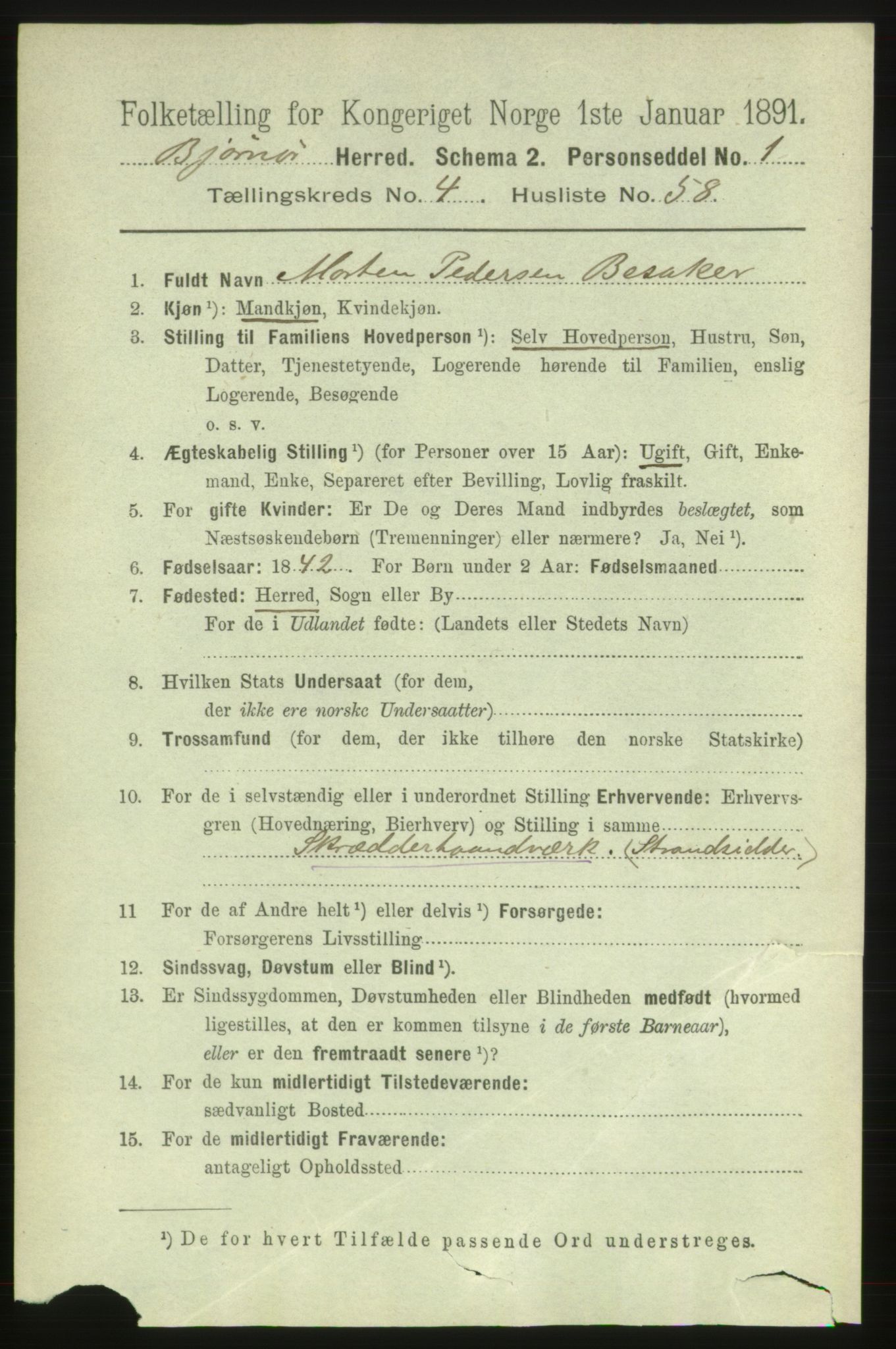 RA, 1891 census for 1632 Bjørnør, 1891, p. 2219