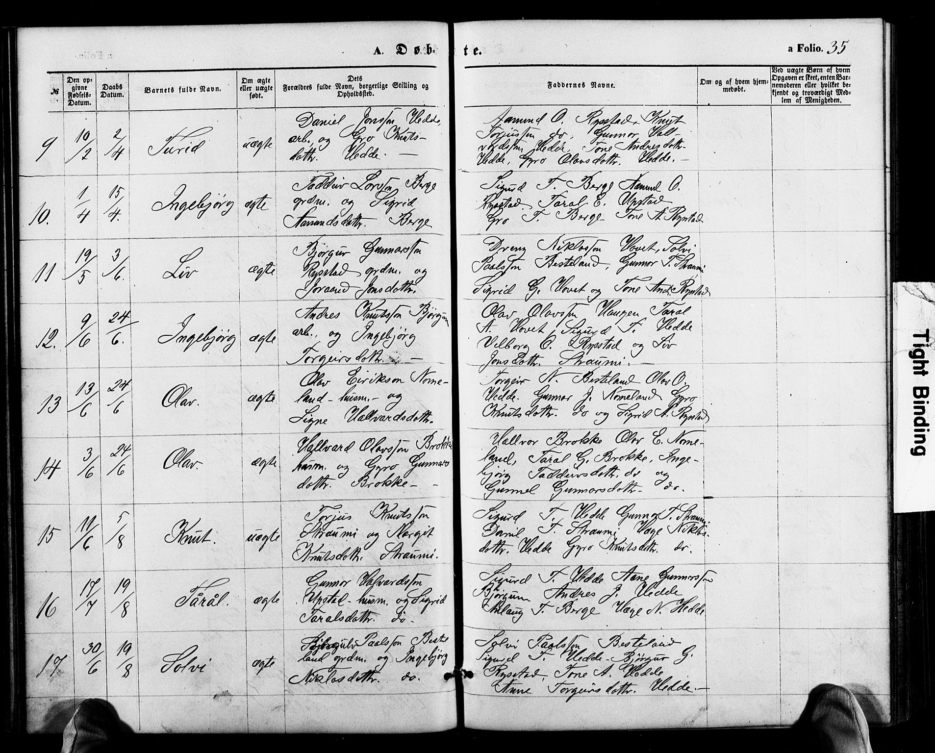 Valle sokneprestkontor, SAK/1111-0044/F/Fb/Fbb/L0002: Parish register (copy) no. B 2, 1875-1921, p. 35
