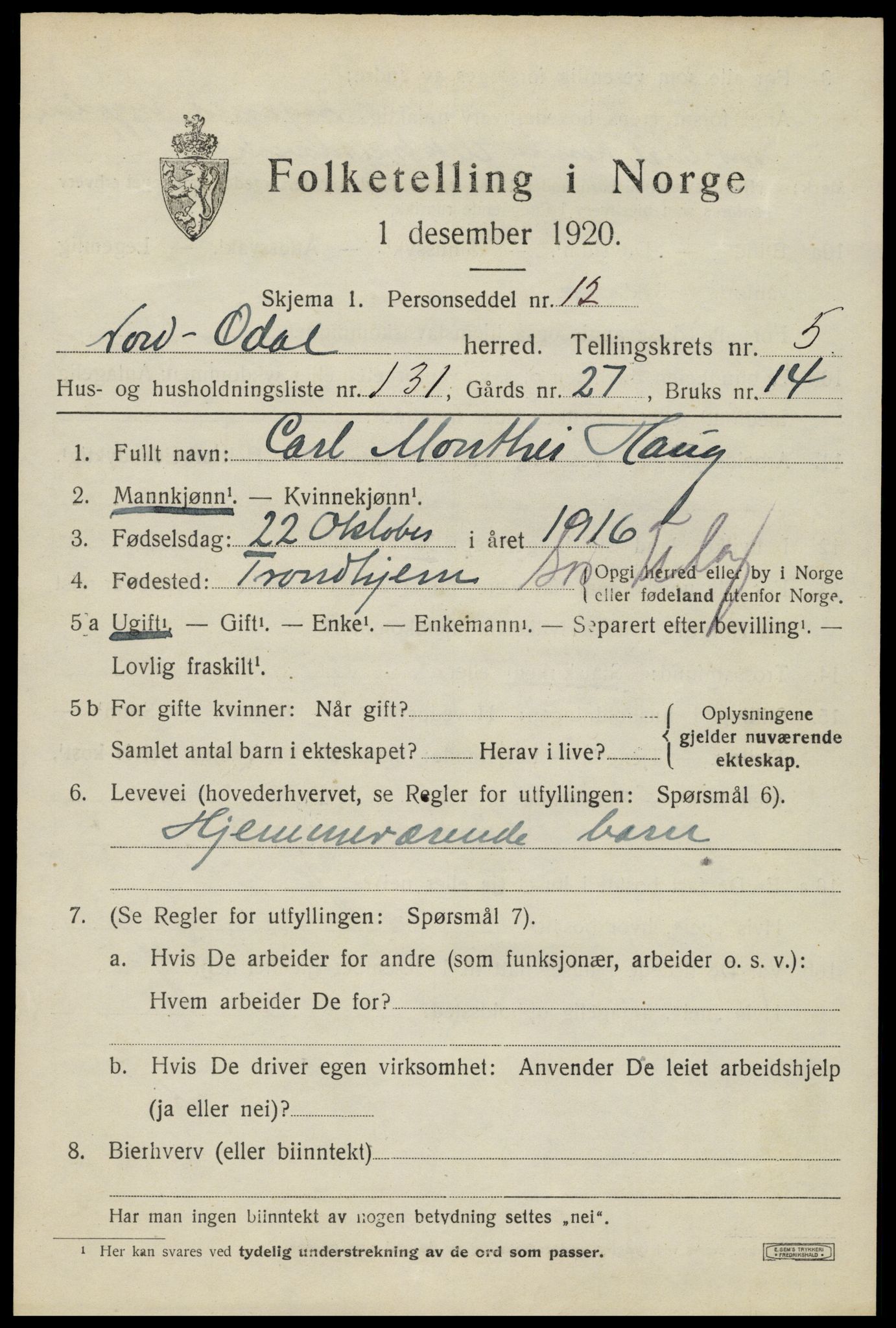 SAH, 1920 census for Nord-Odal, 1920, p. 6563